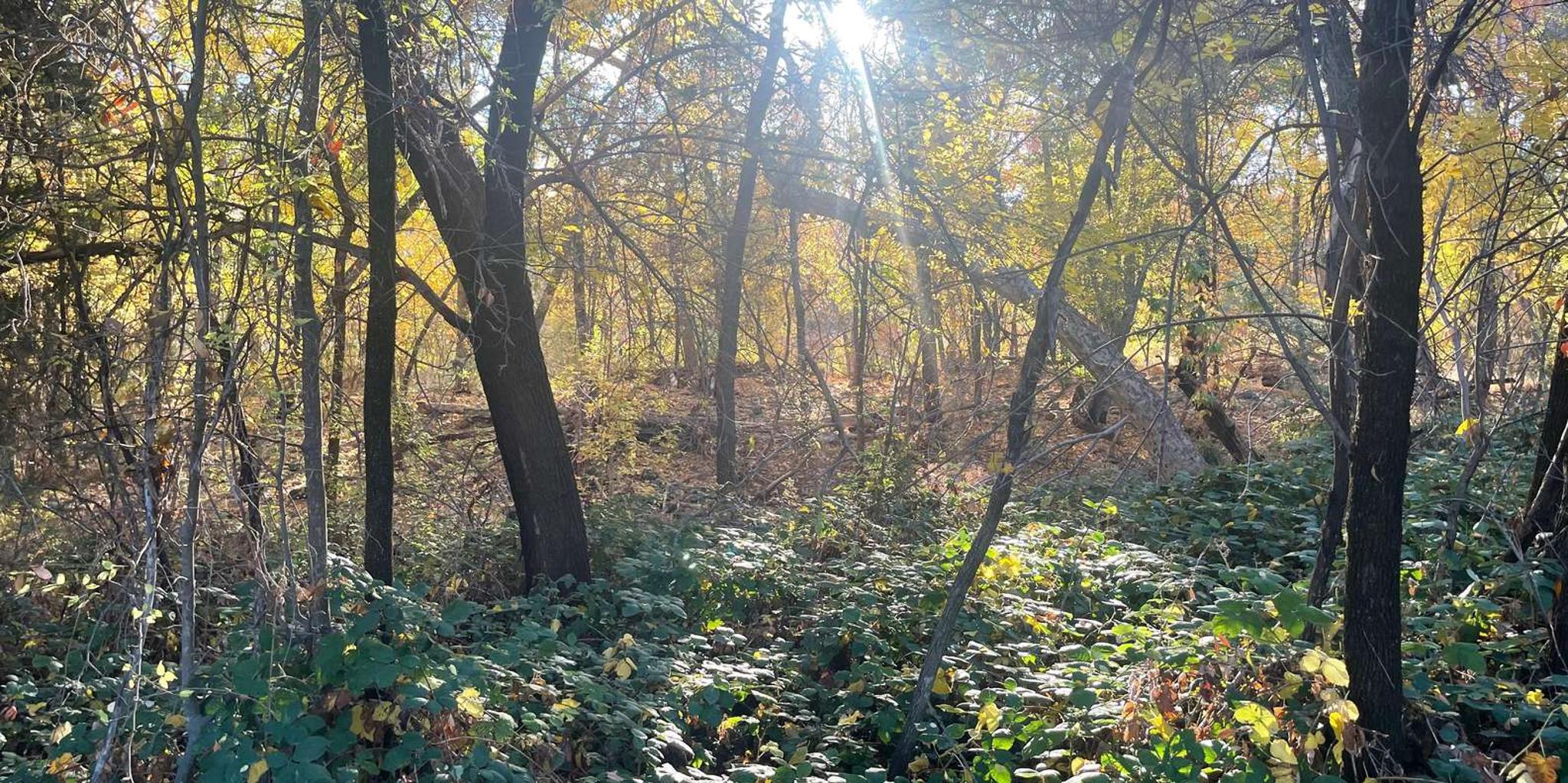 Sedona E-Bike Tour to 7 Sacred Pools at Sunset - Image 3
