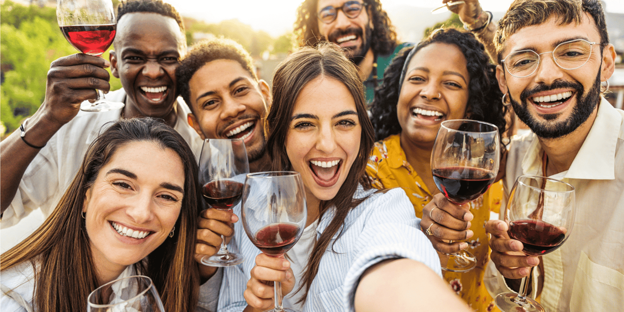 San Francisco Napa and Sonoma Wine Tour - Image 4