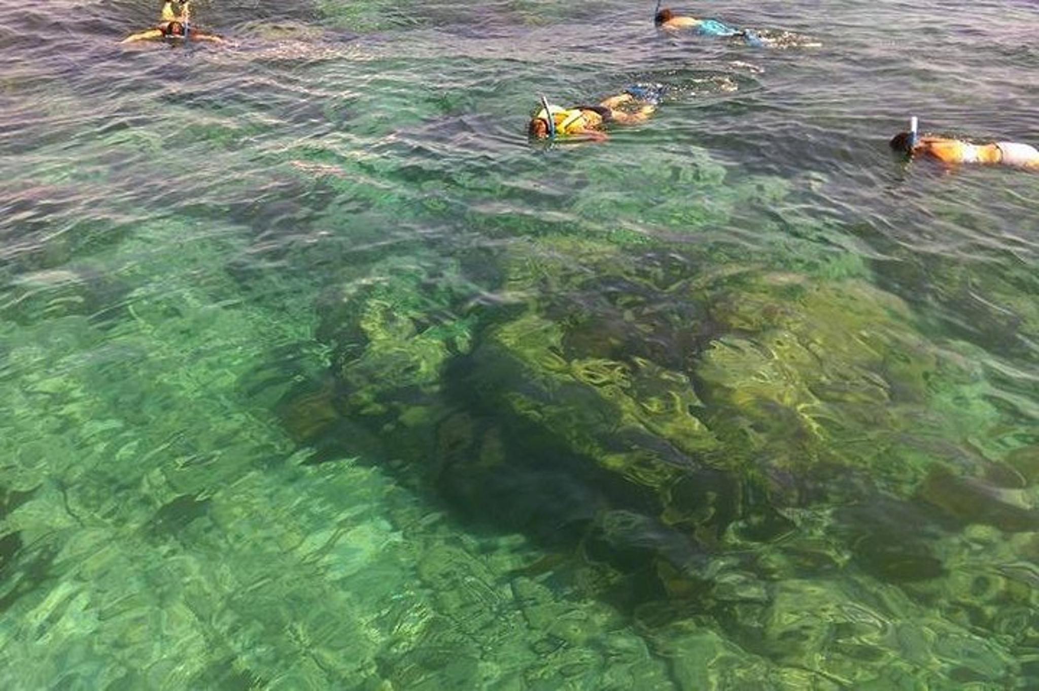 Key Largo Snorkel Tour at John Pennekamp Coral Reef - Image 5
