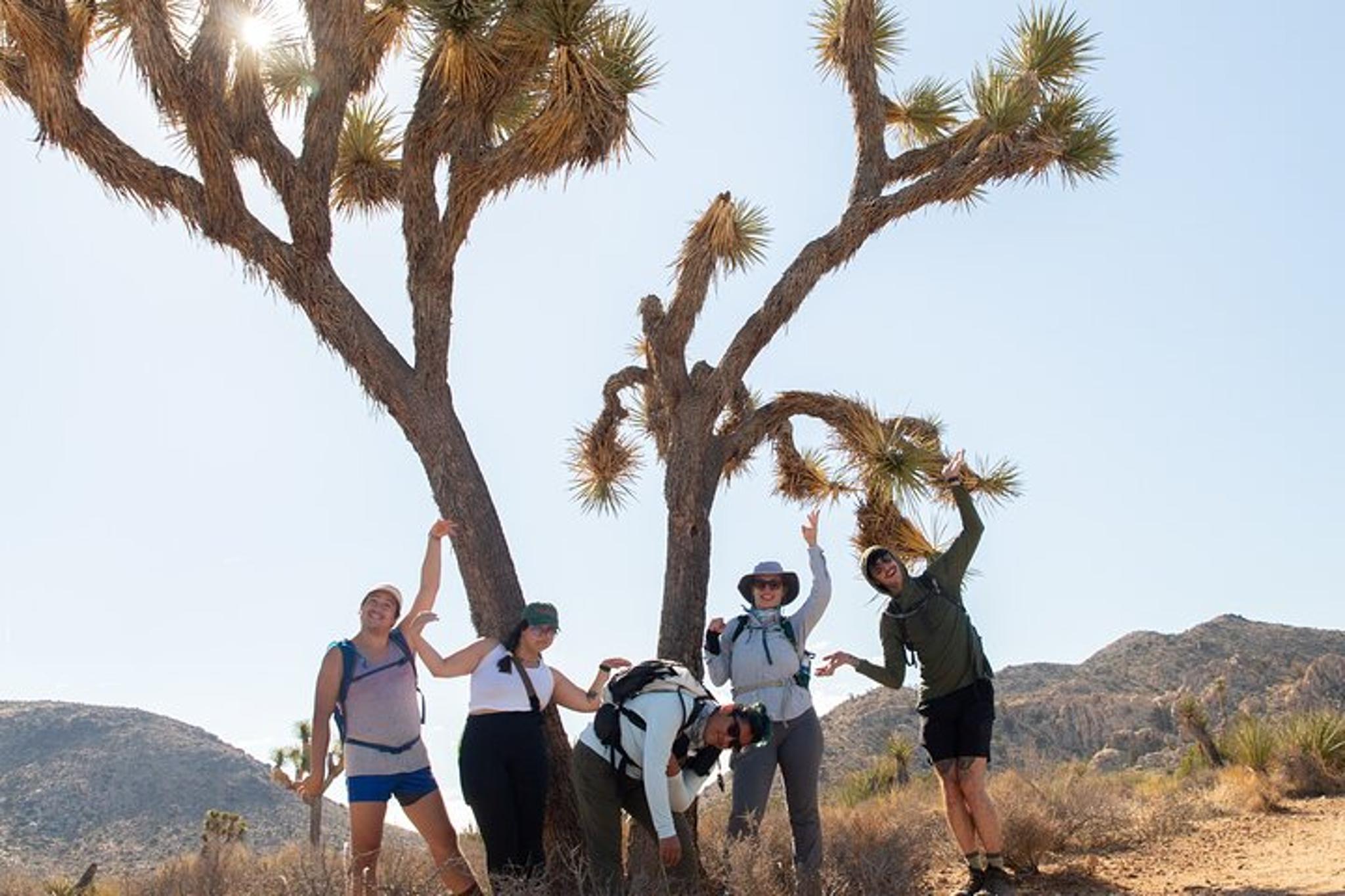 Joshua Tree Private Tour and Hike - Image 5