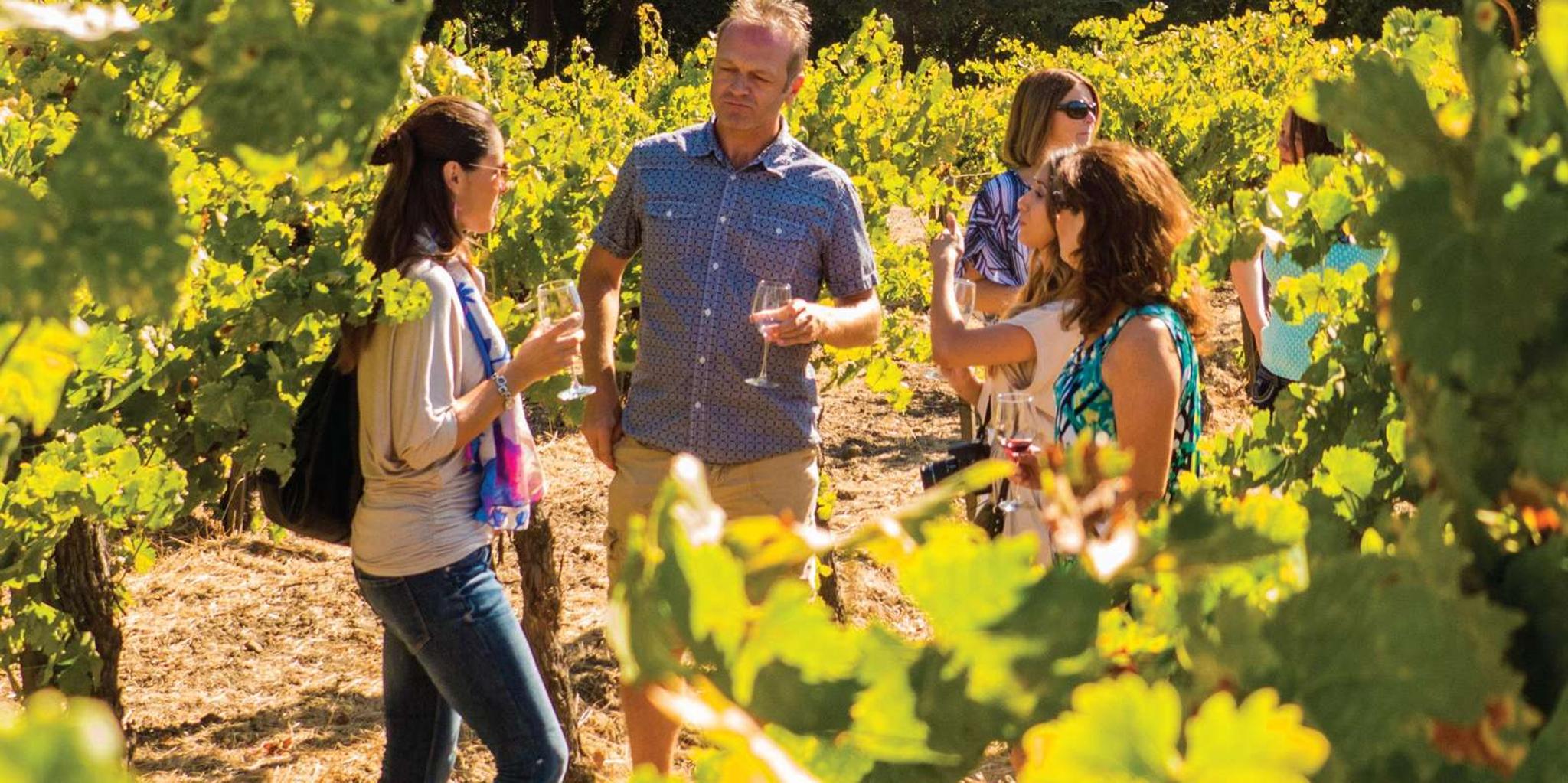 San Francisco Wine and City Tour - Image 3