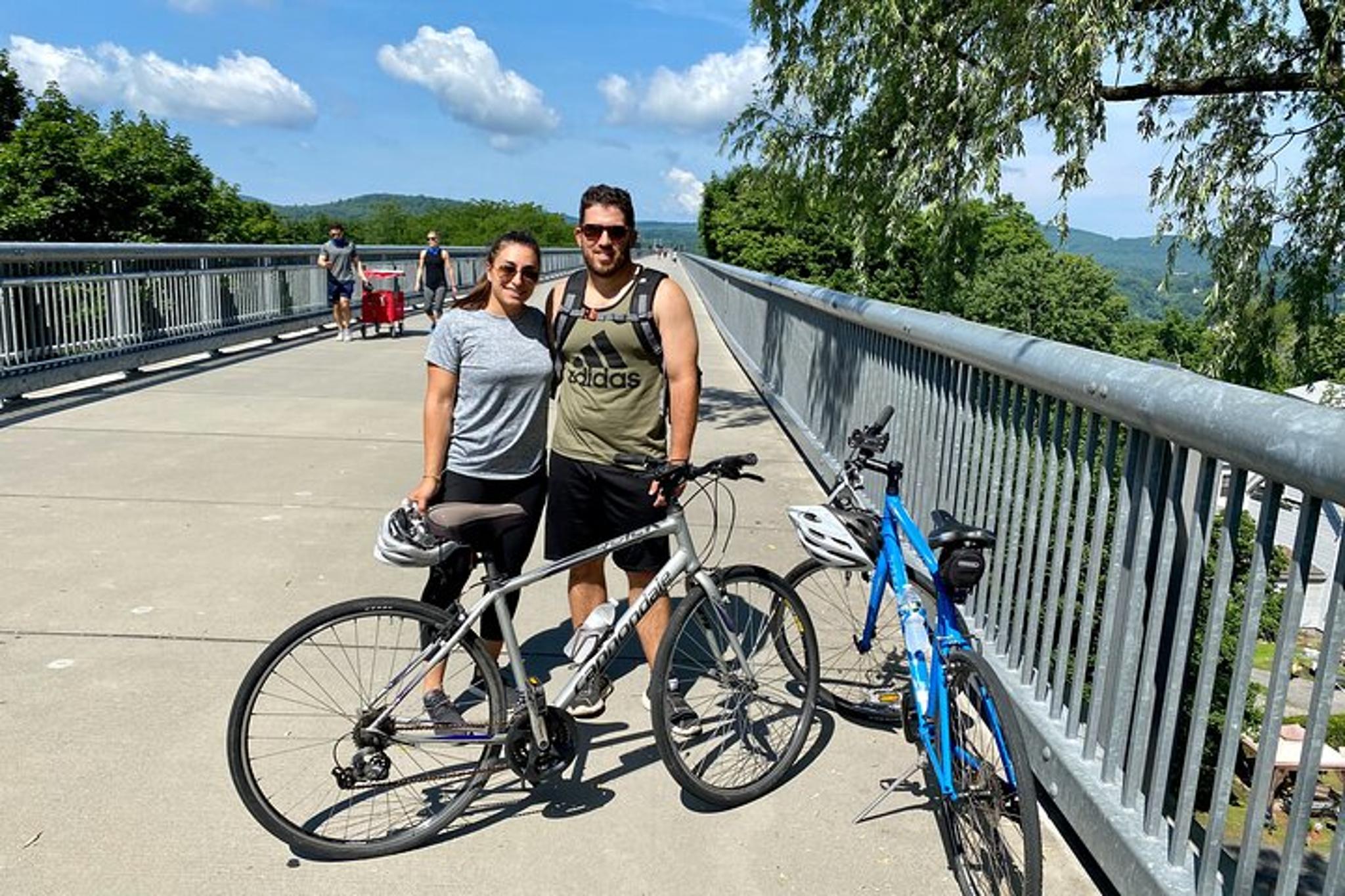 Hudson Valley Walkway and Wineries Tour - Image 6