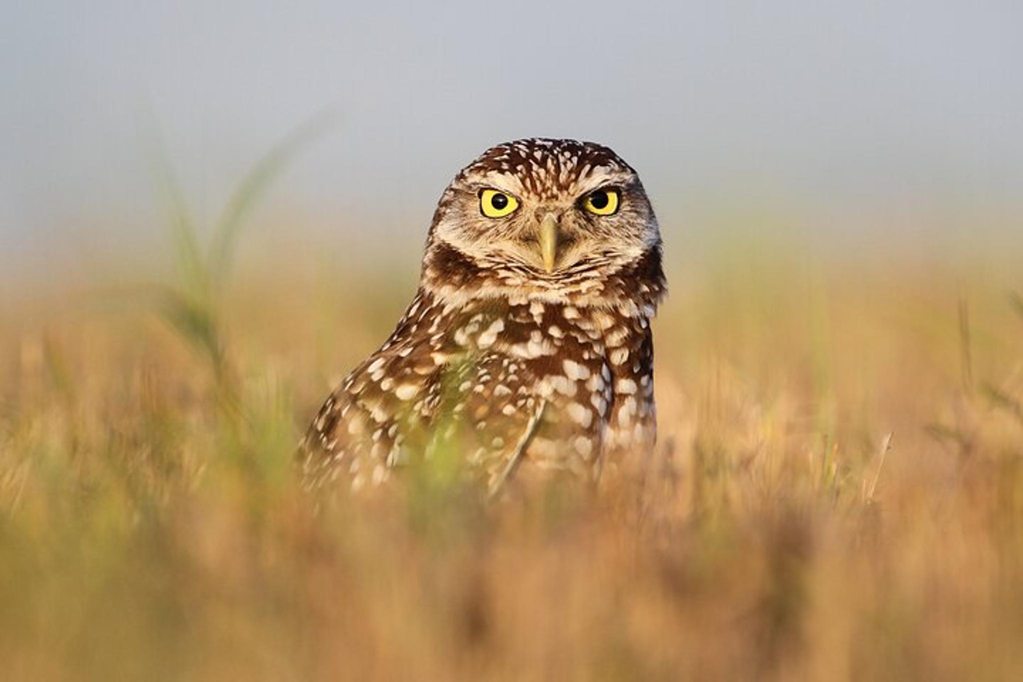 Colorado Nature Tour for Couples - Image 5