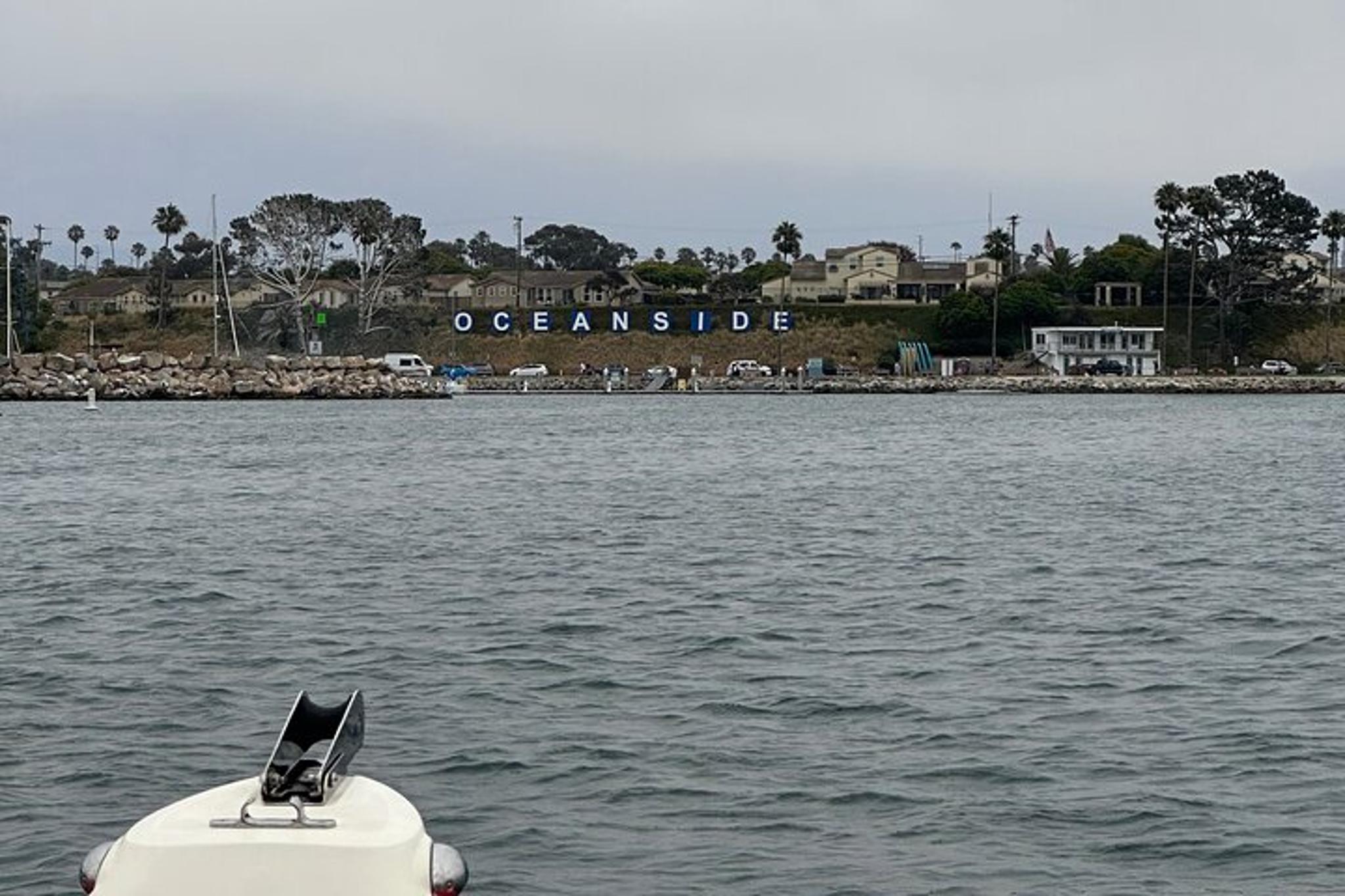 Oceanside Whale Watching Tour 2.5 hr - Image 5