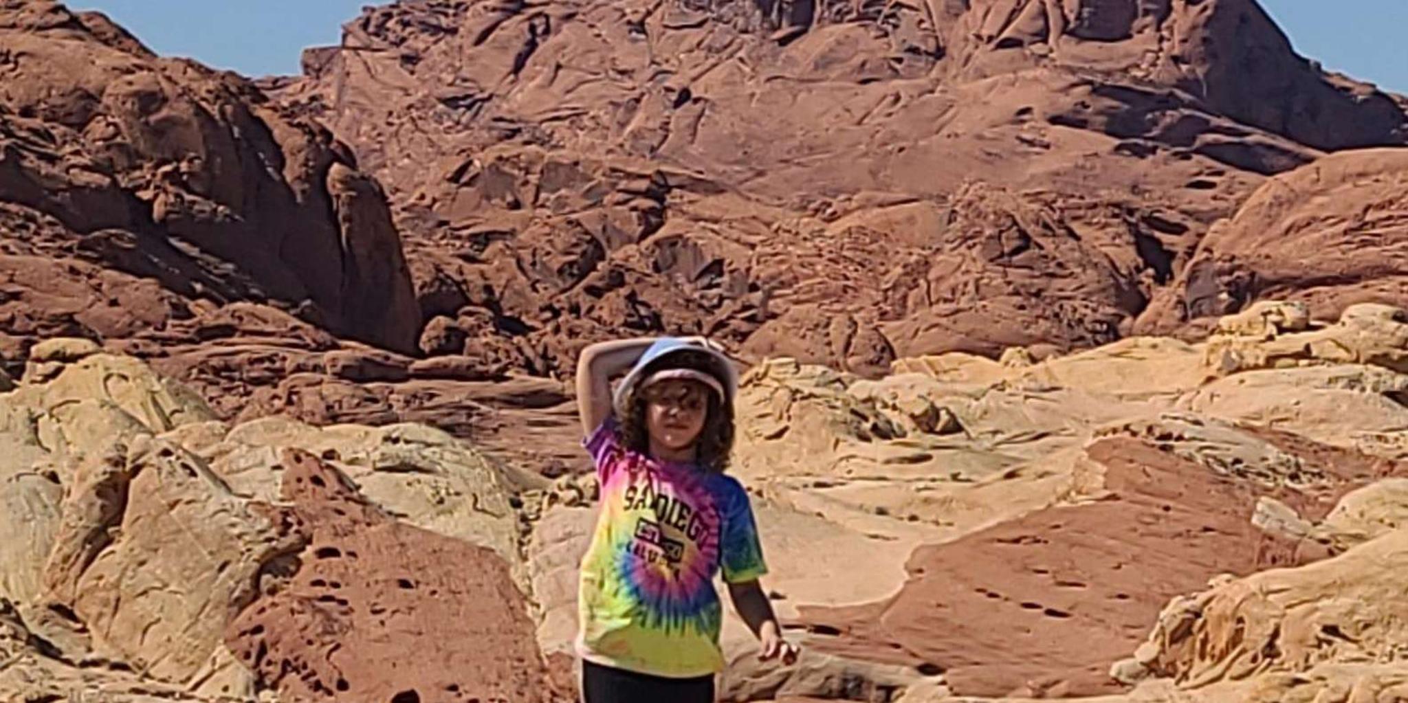 Las Vegas Valley of Fire and Red Rock Canyon Tour - Image 2