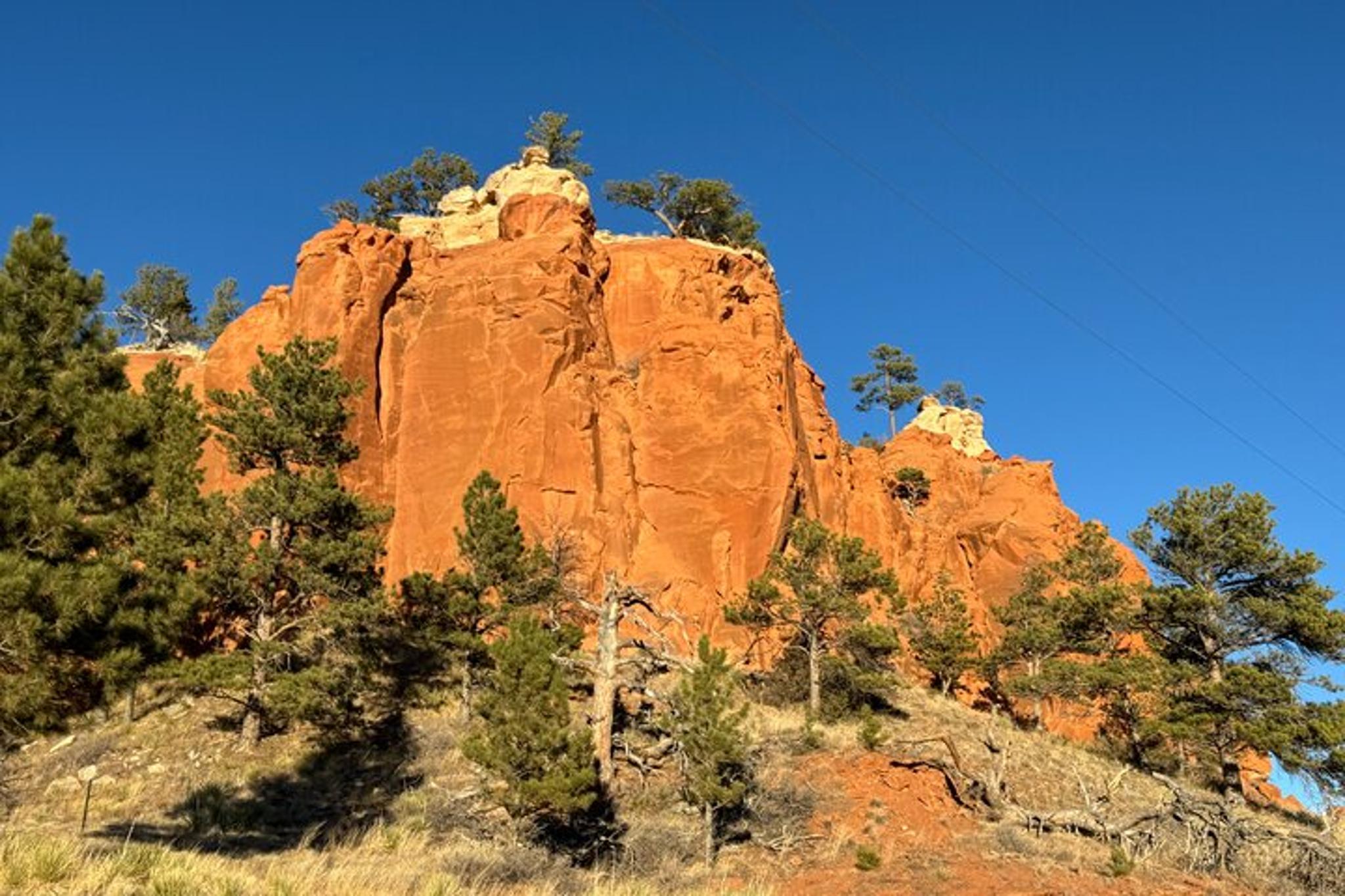Southern Black Hills Wind Cave and Wildlife Tour - Image 2
