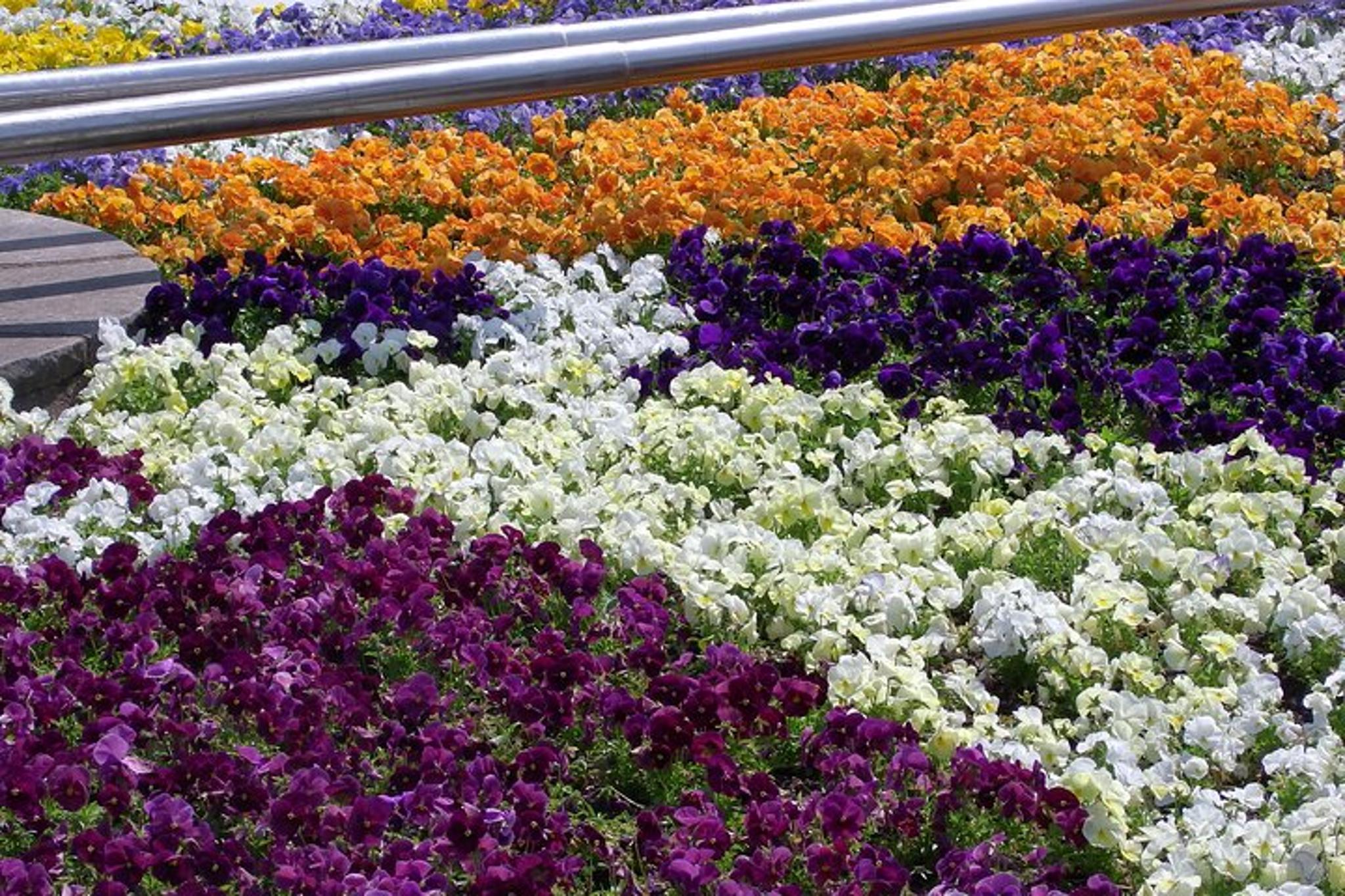 Niagara Falls Night Tour with Fireworks & Cruise - Image 3