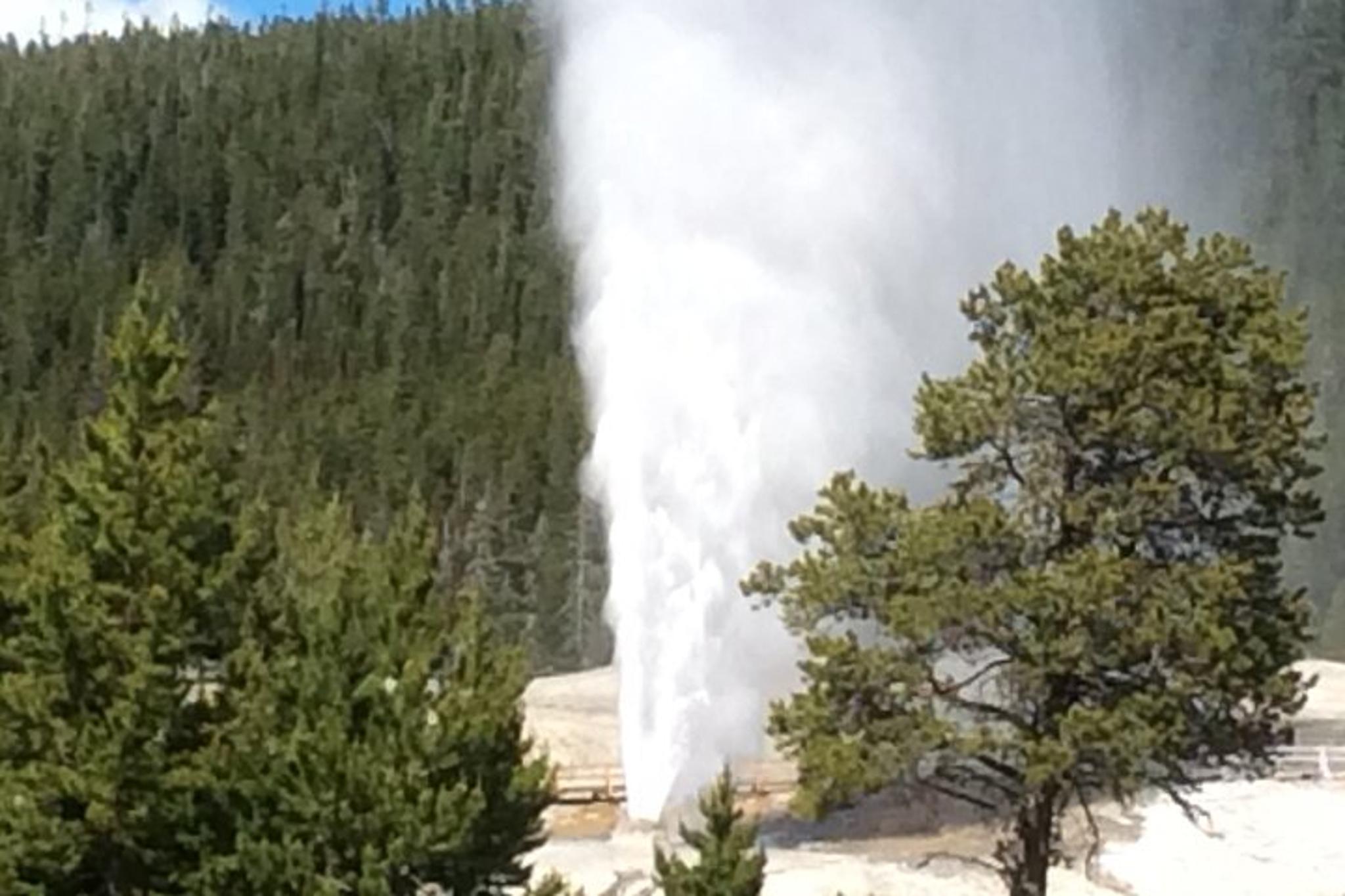 Yellowstone National Park Tour with Lunch - Image 6