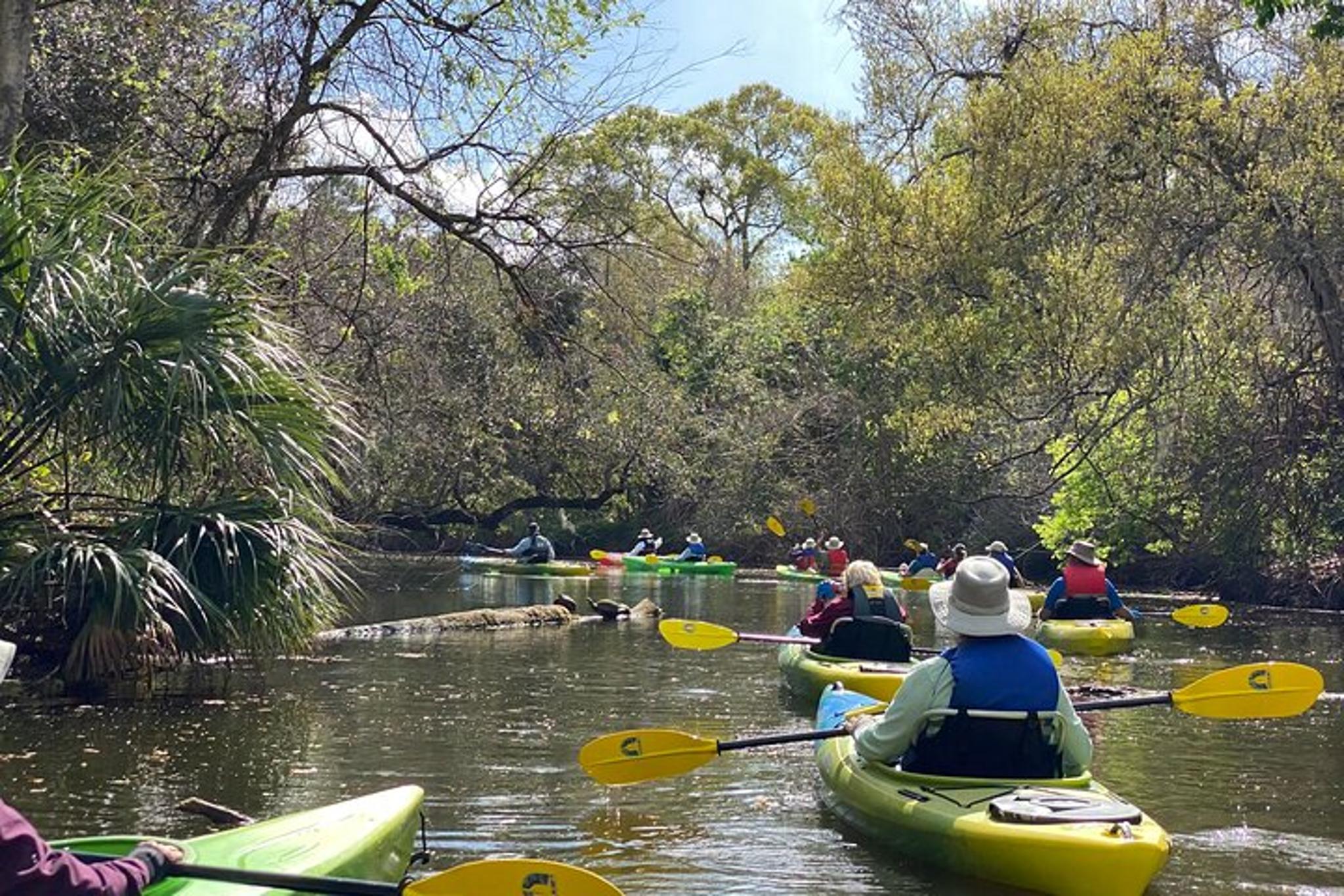 Cocoa Beach Manatee and Dolphin Kayak Tour 2 hr