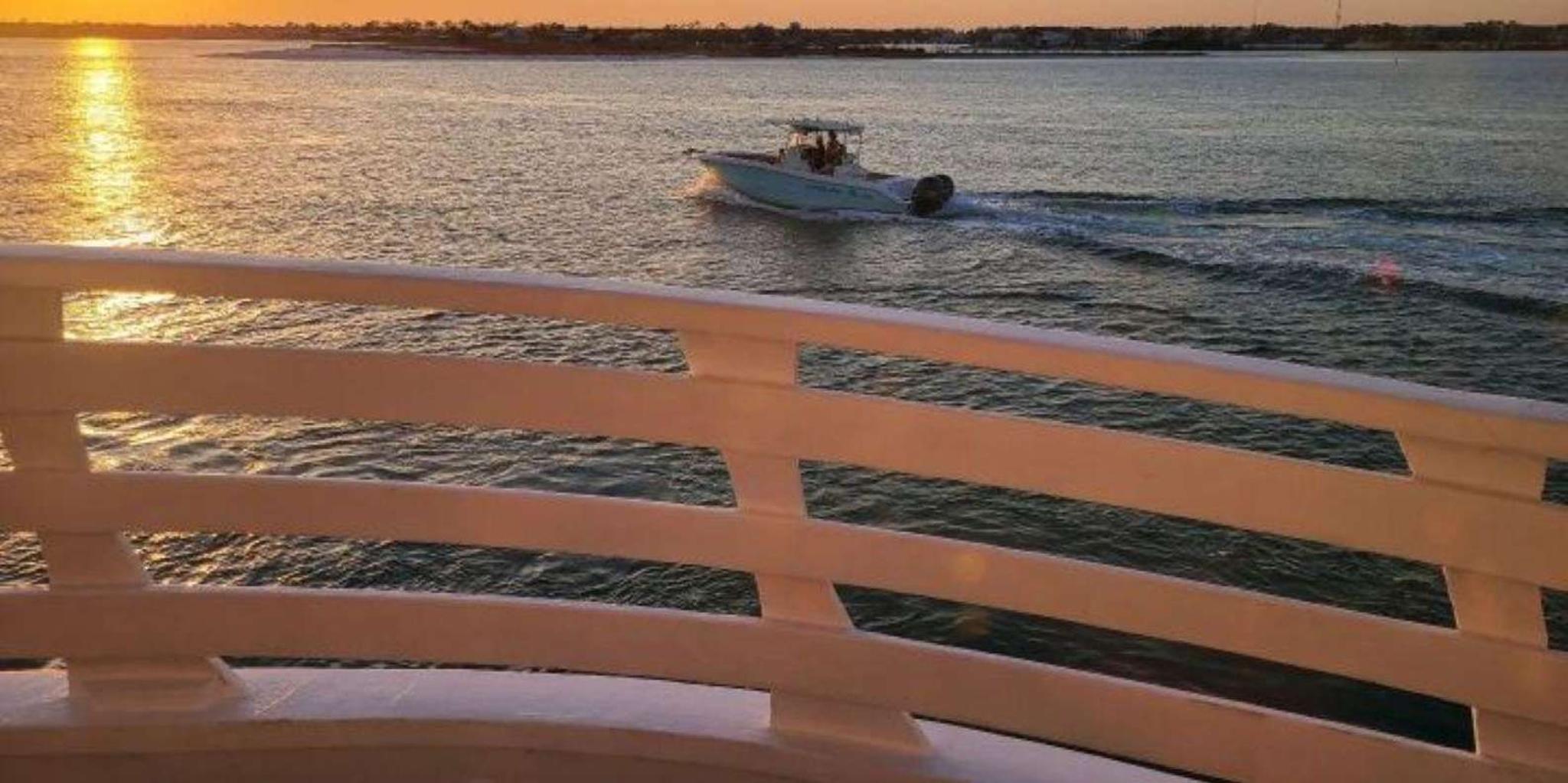 Orange Beach Dolphin Cruise - Image 3