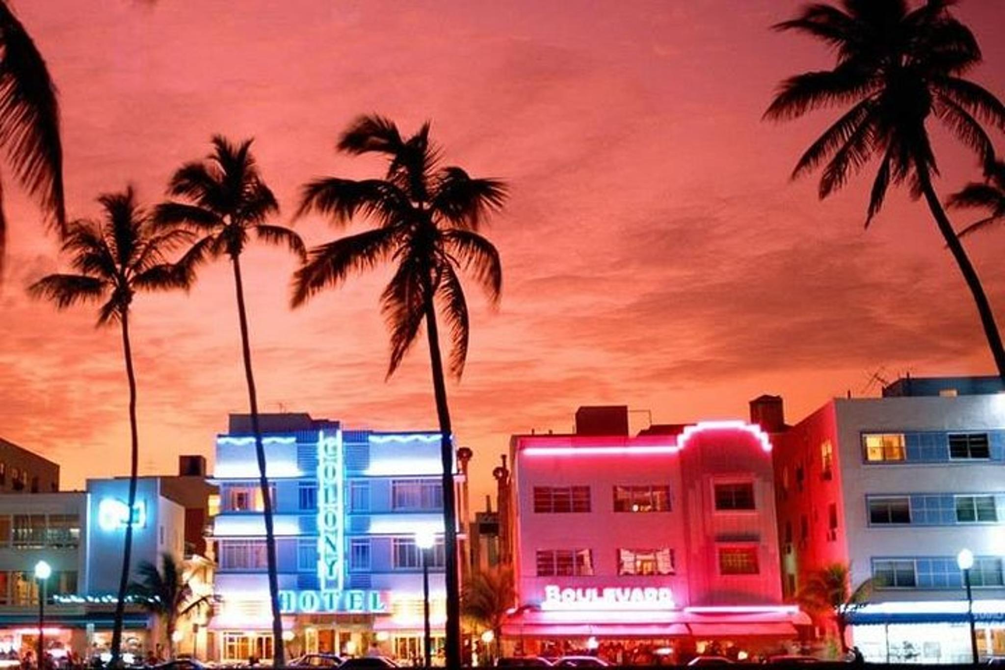 Miami Everglades National Park Day Tour - Image 3