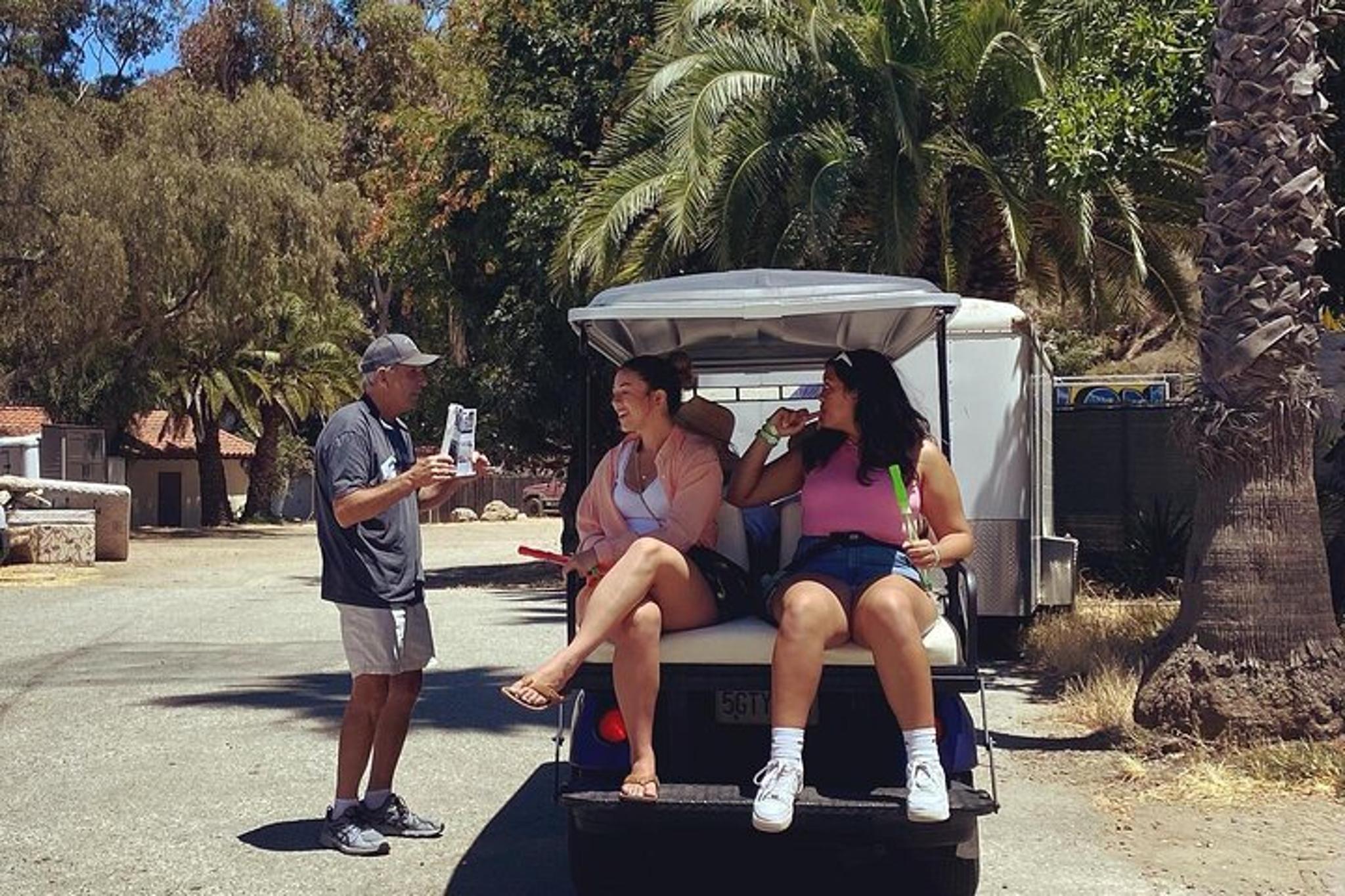 Avalon Guided Golf Cart Tour - Image 2