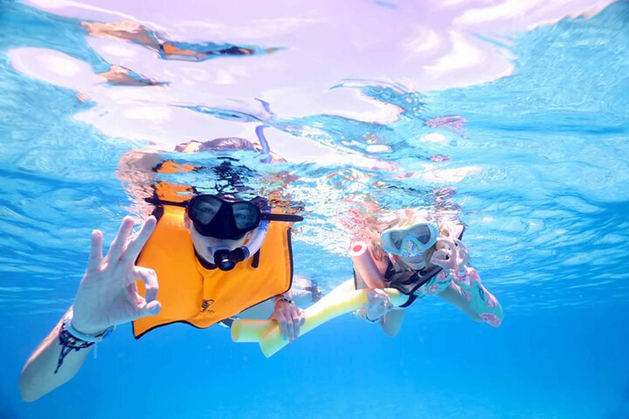 Key Largo Snorkeling Tour at Carysfort Lighthouse - Image 5