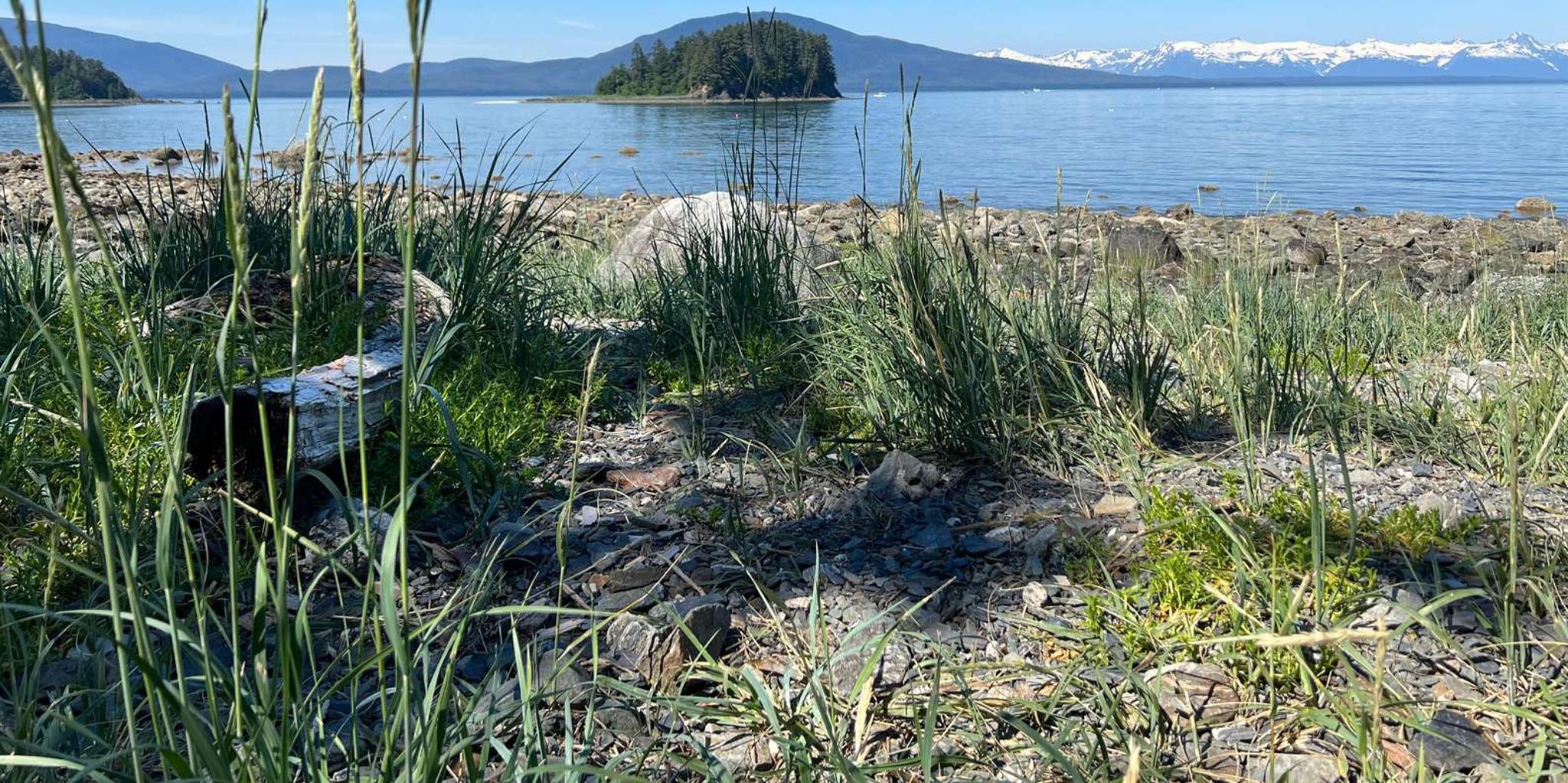 Juneau Segway Rainforest Photo Safari - Image 6
