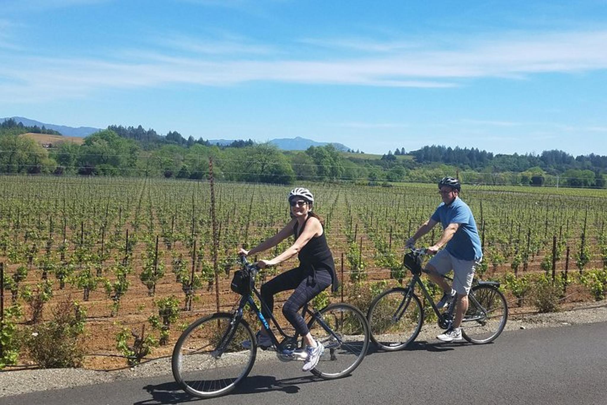 Sonoma Valley Pedal Assist Bike Tour with Lunch - Image 3