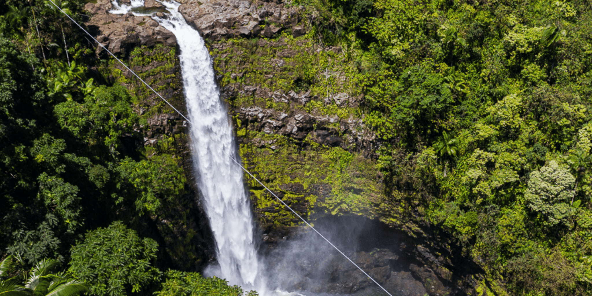 Hilo Zipline Tour with Cruise Ship Pickup - Image 1