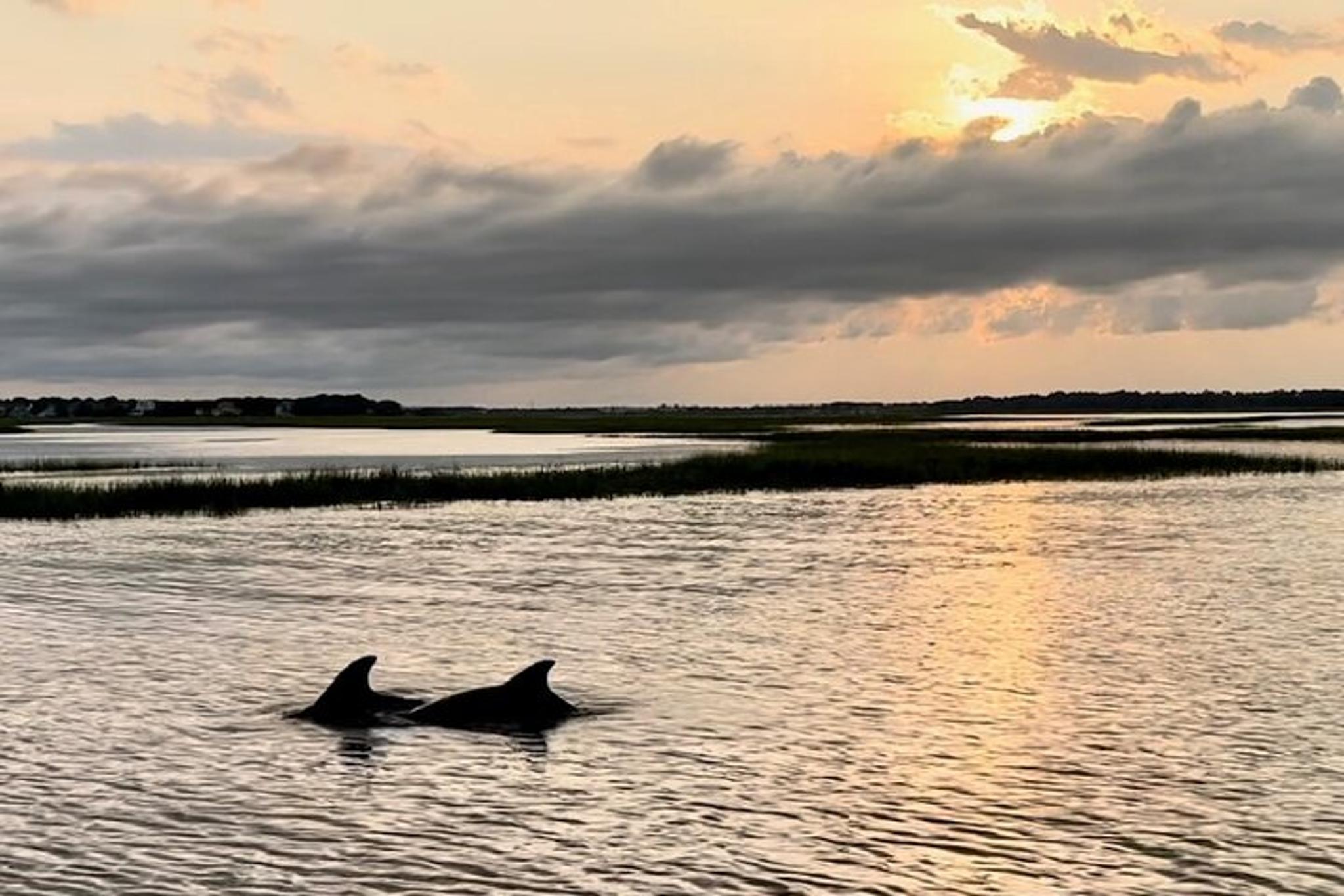 Folly Beach Dolphin Cruise at Sunset - Image 1