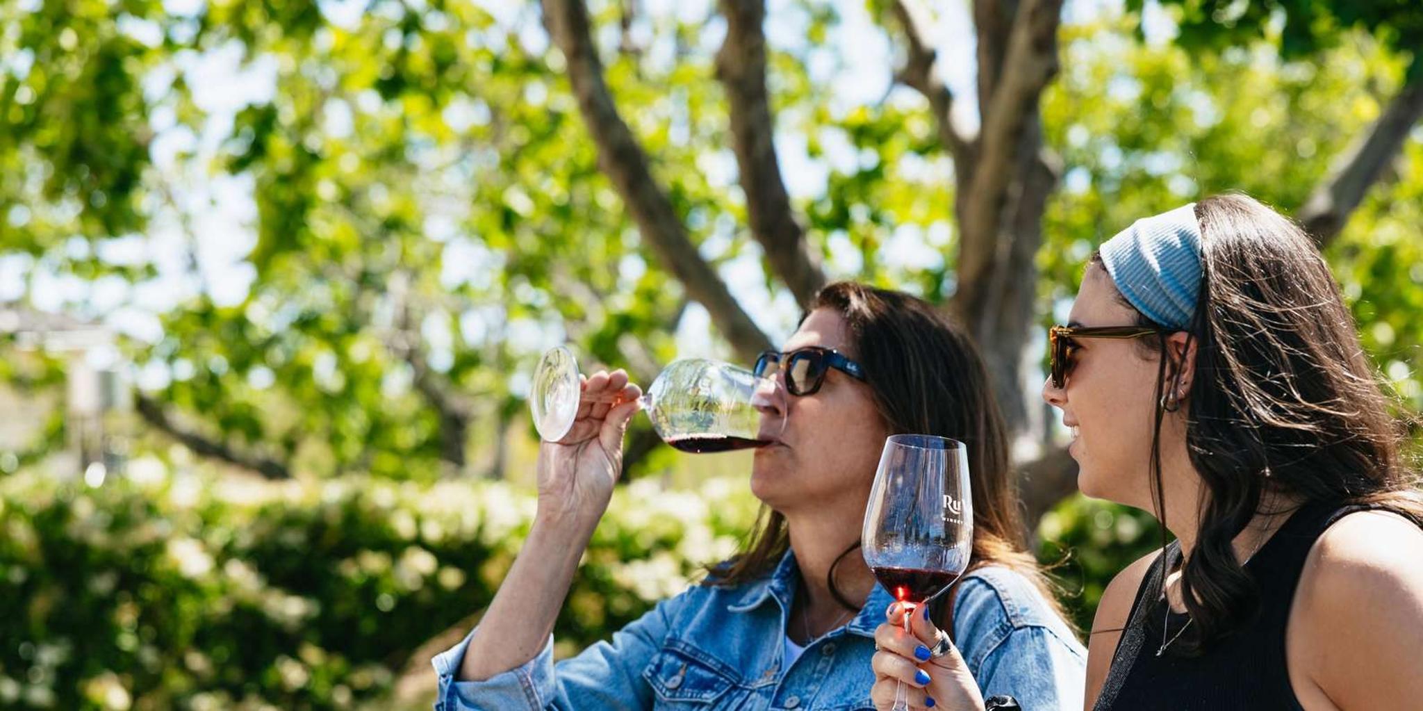 San Francisco Napa and Sonoma Wine Tour - Image 3