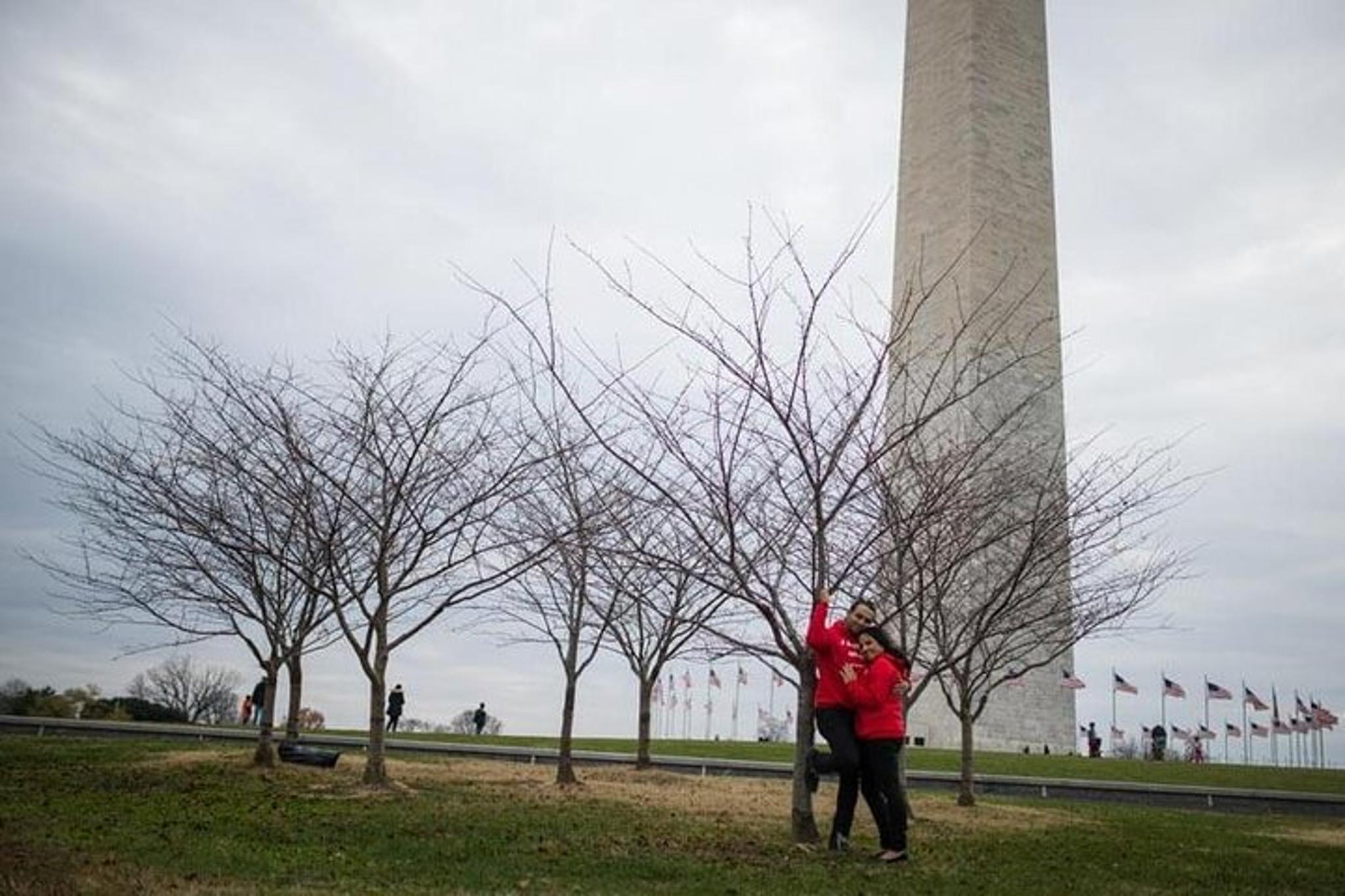 Washington, D.C. Photo Session with Local Photographer 30 min - Image 4