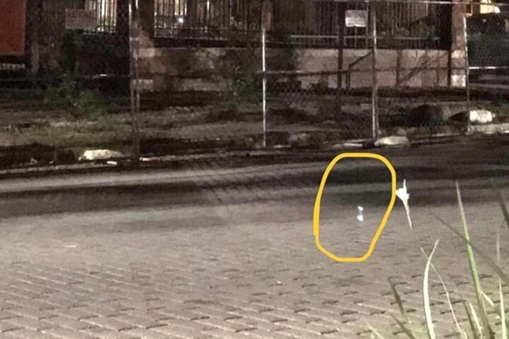 Helen Ghost Tour with Paranormal Investigation - Image 6