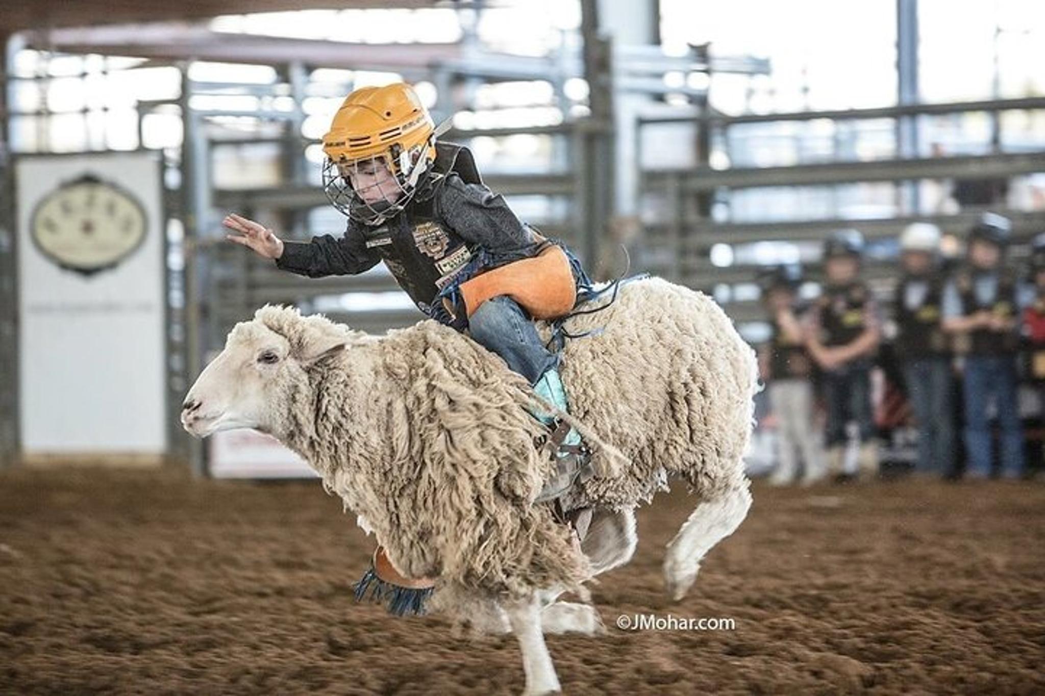 Bulverde Rodeo Admission - Image 4