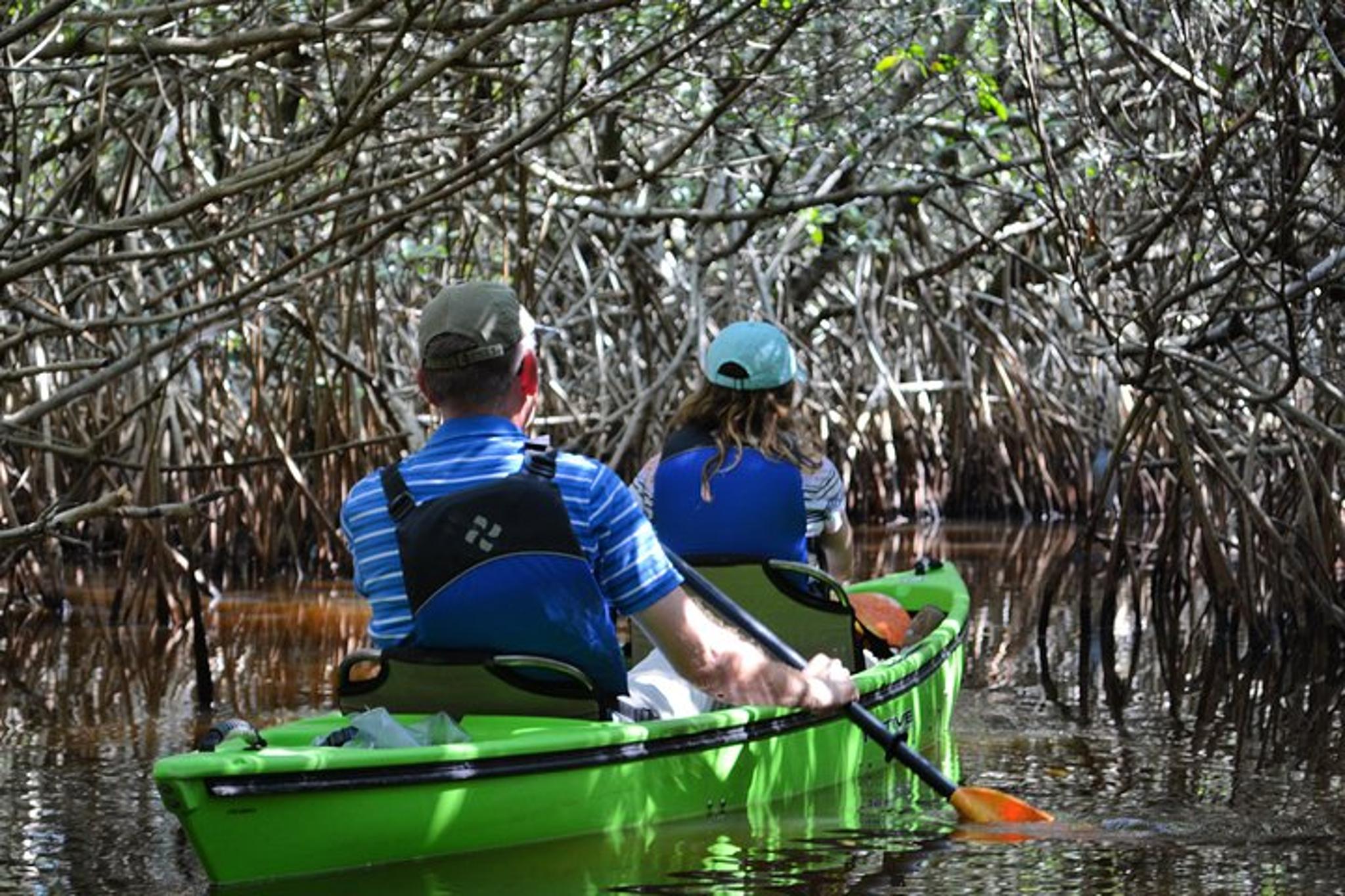 Everglades Kayak Safari Through Mangrove Tunnels - Image 2