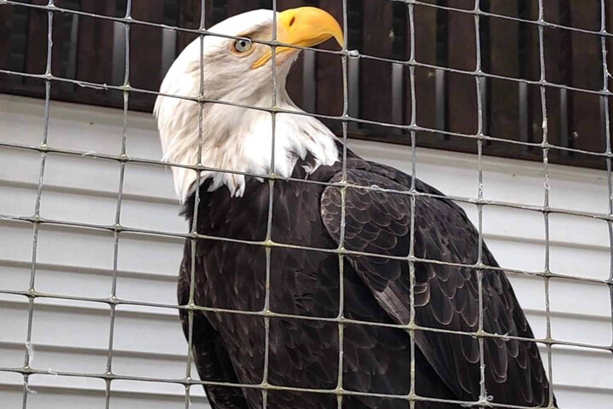 Sitka Land Tour: Top Attractions and Scenic Points - Image 6