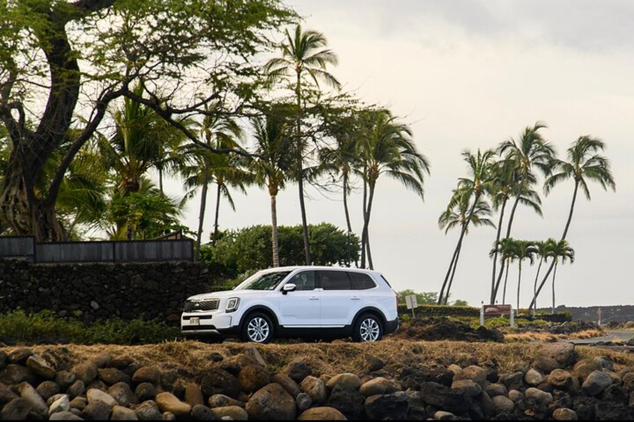 Maui Road to Hana Adventure with Brunch