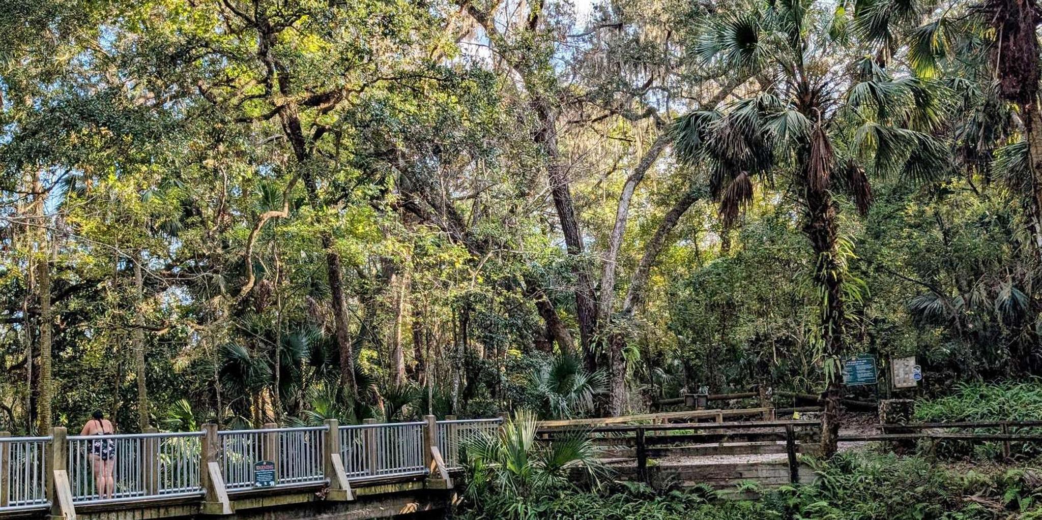 Orlando Everglades Airboat Tour - Image 2