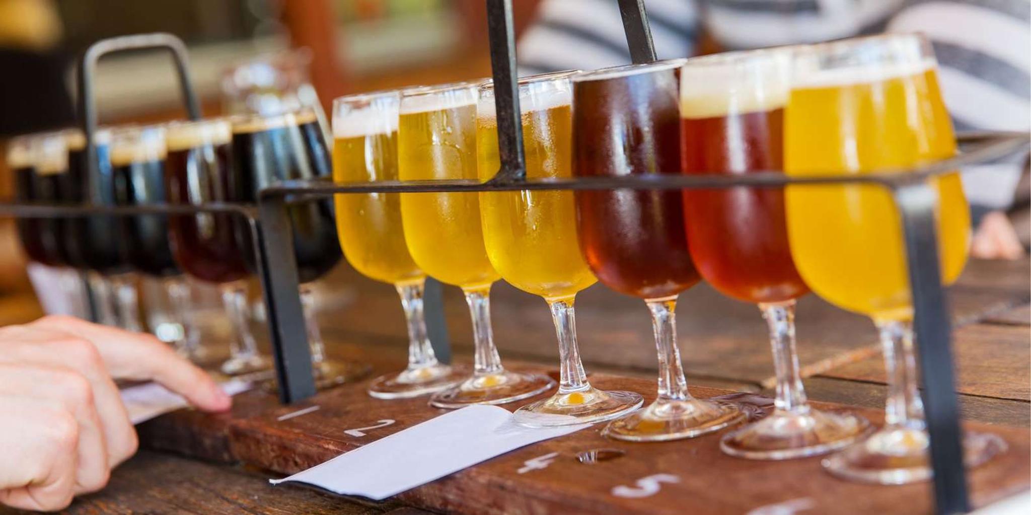 Asheville Craft Brewery Tour