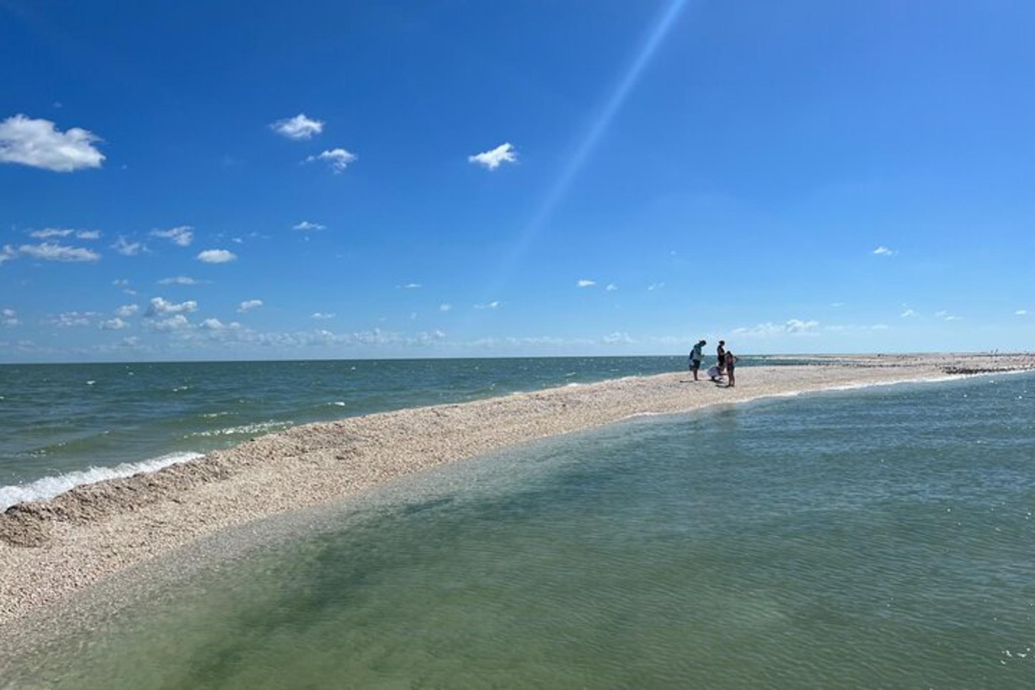 Marco Island Tubing, Dolphin Watching, and Shelling Tour - Image 2
