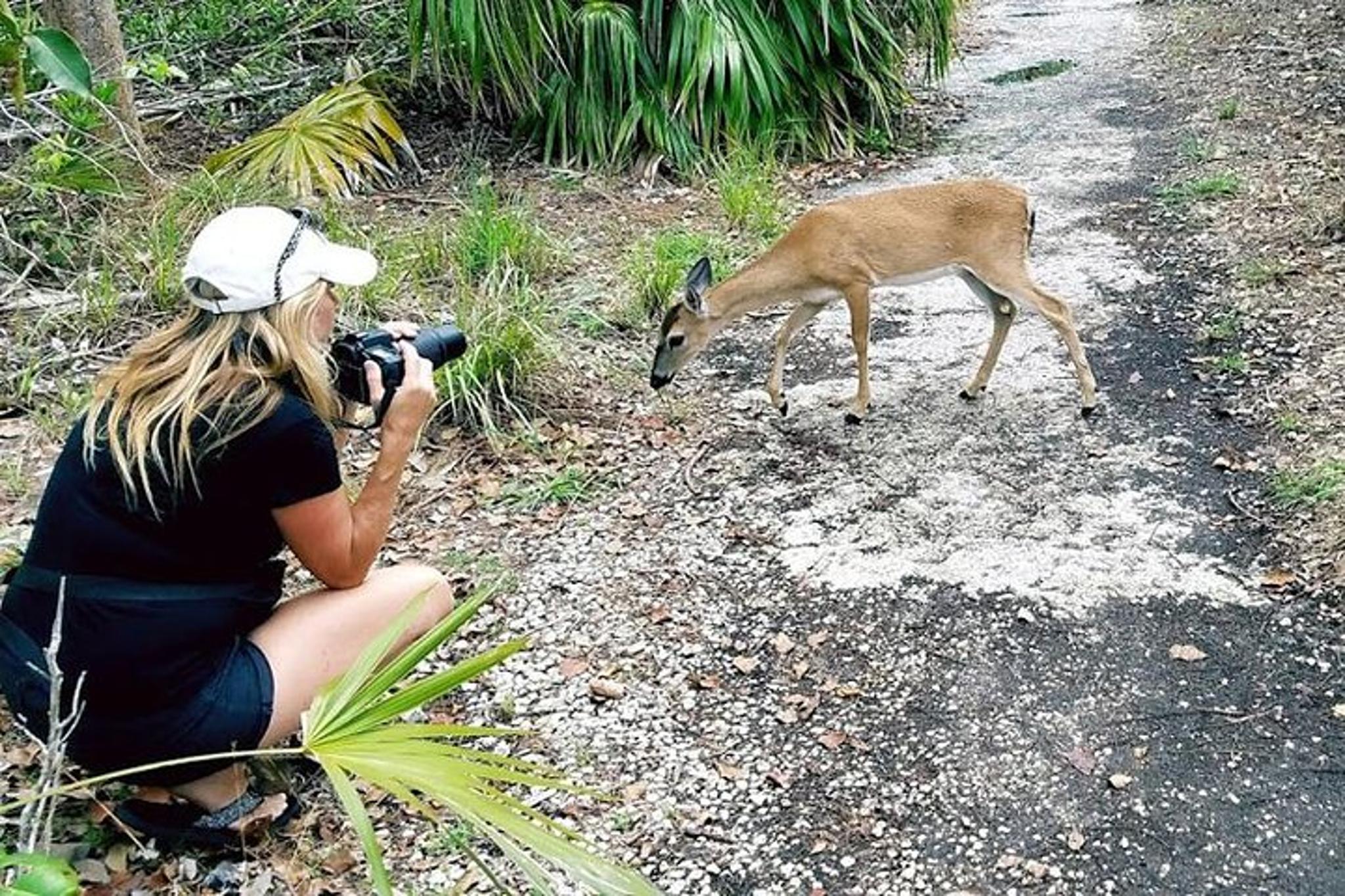 Florida Keys Aquarium Encounters Day Tour - Image 5