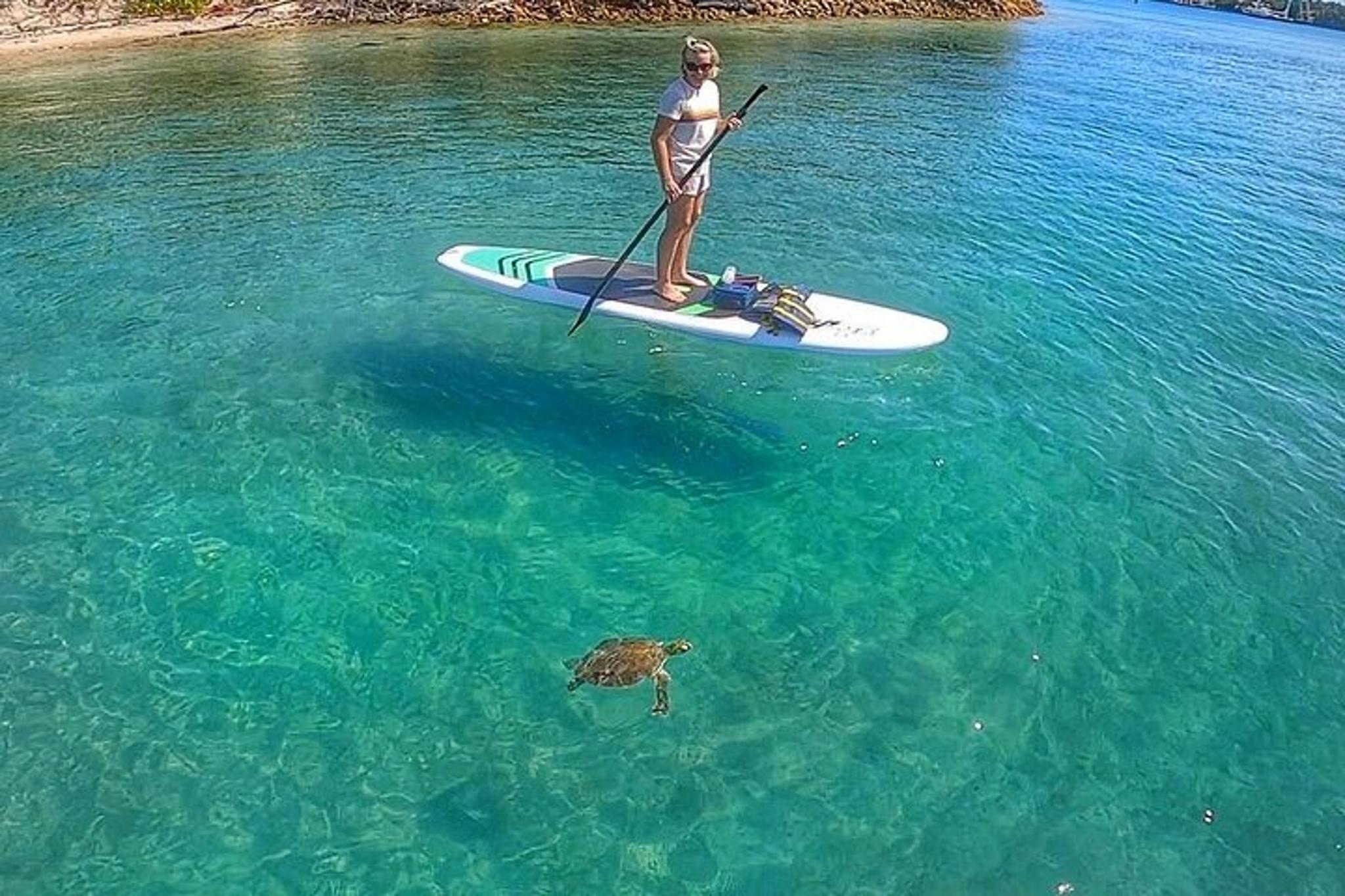 Peanut Island Paddle Boarding Tour - Image 3