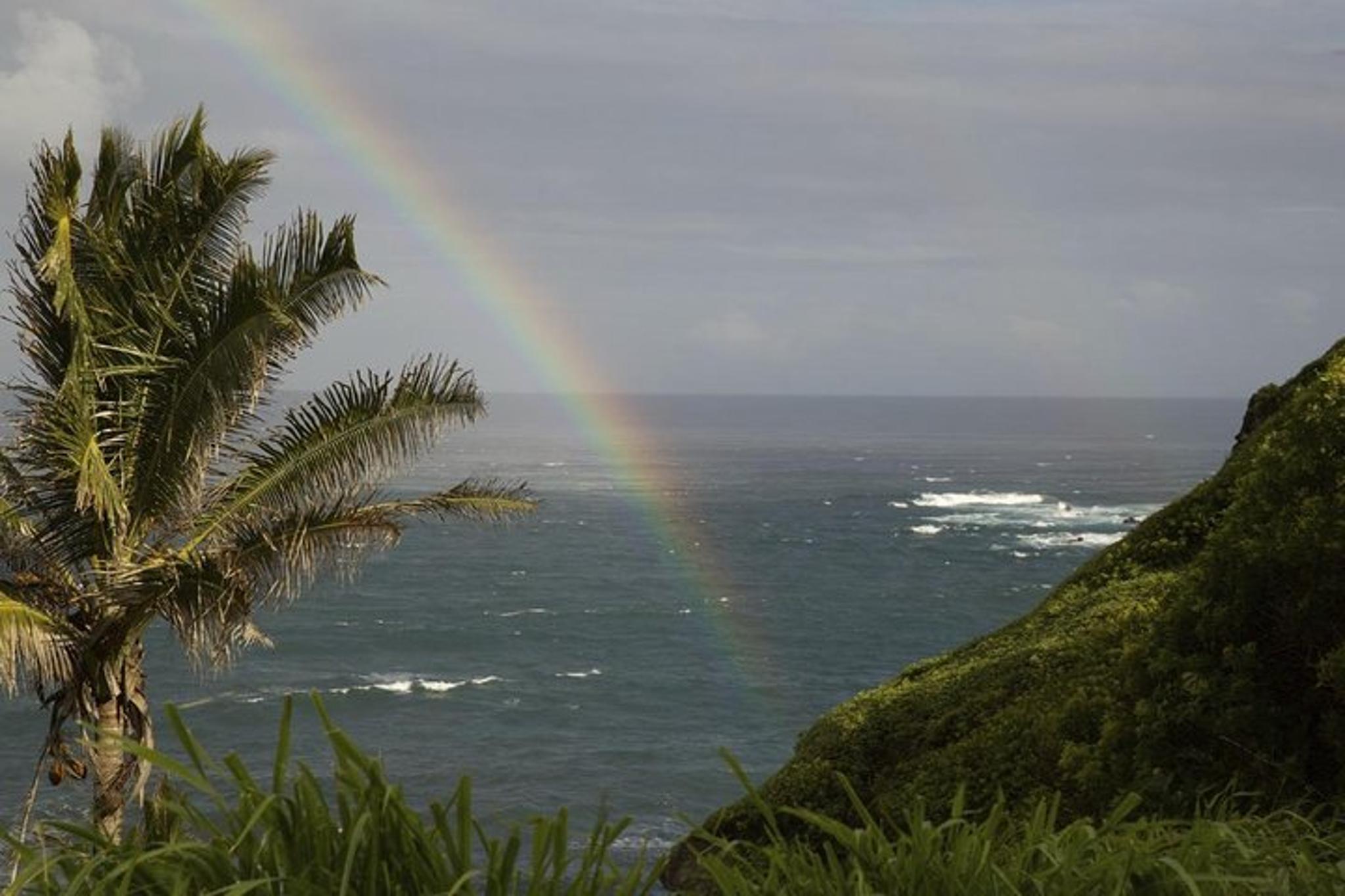Maui Waterfall and Rainforest Adventure - Image 4