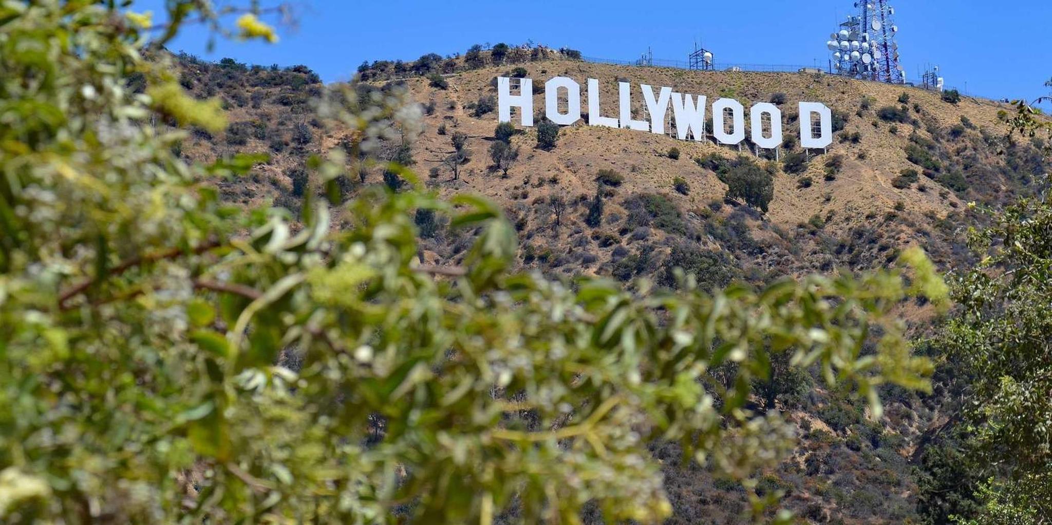 Los Angeles City & Beach Tour with Hotel Pickup - Image 4