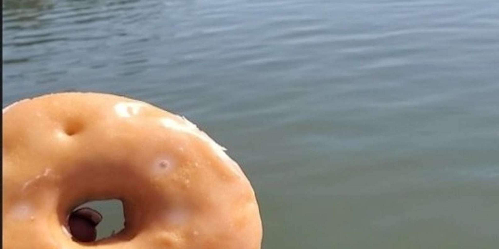 Hilton Head Dolphin Watching Cruise with Donuts - Image 2