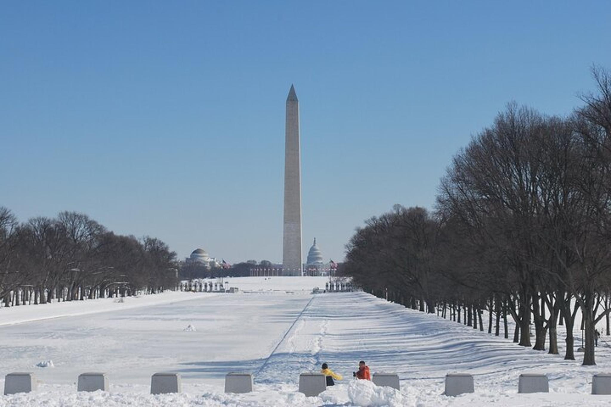 Washington Sightseeing Tour with Chauffeur - Image 4