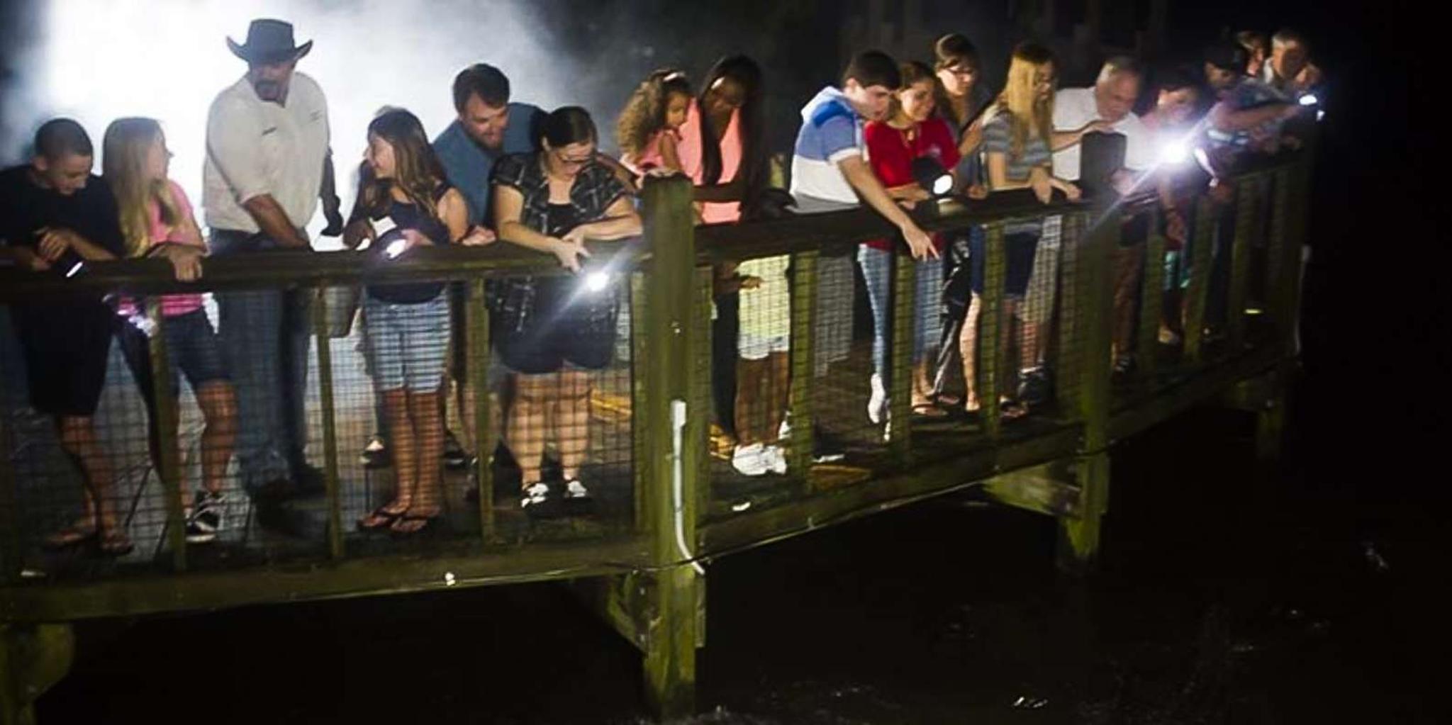 Orlando Gatorland Flashlight Tour at Night 1.5 hr - Image 3