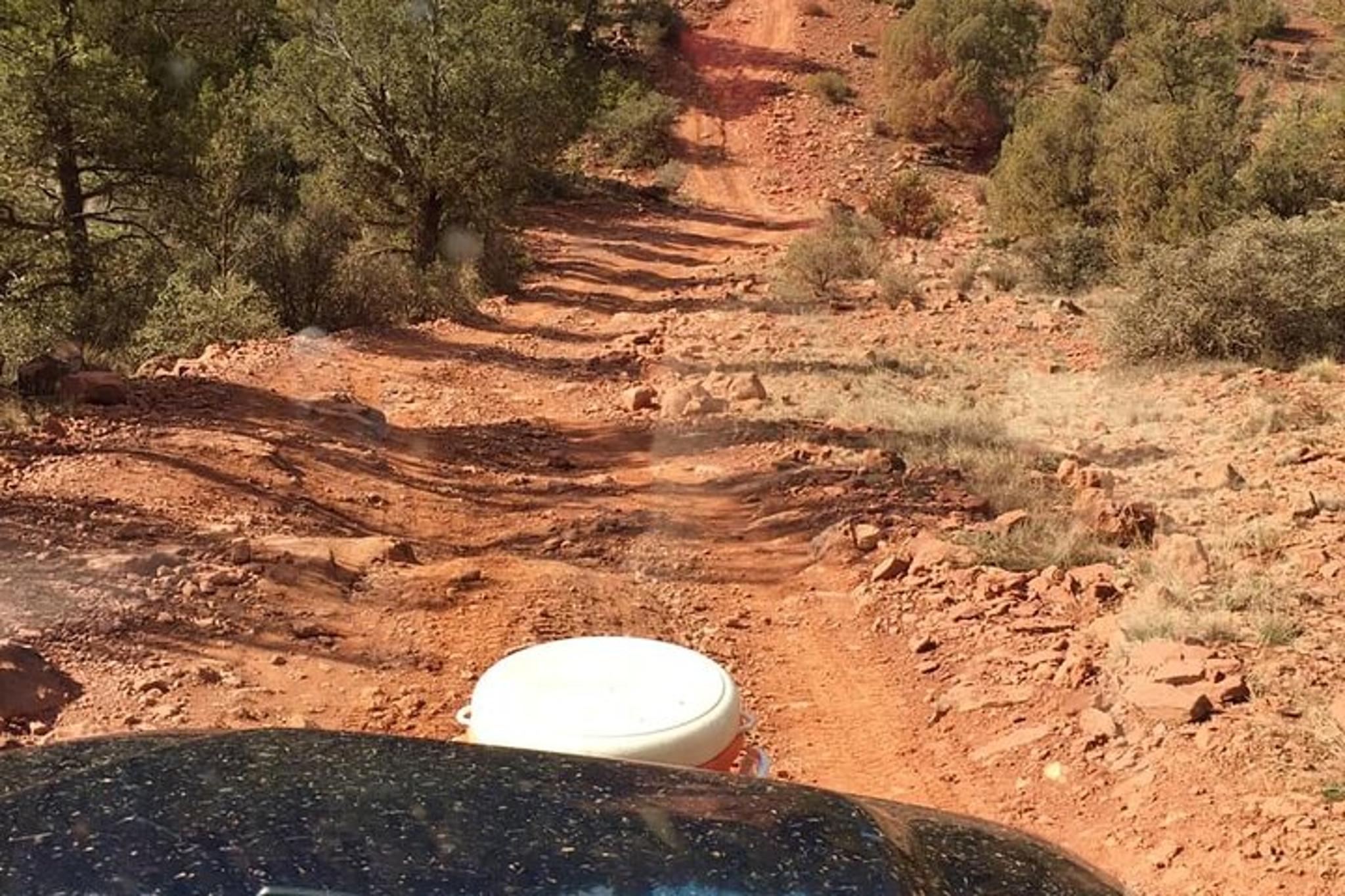 Sedona Off-Road Canyon Jeep Tour - Image 4