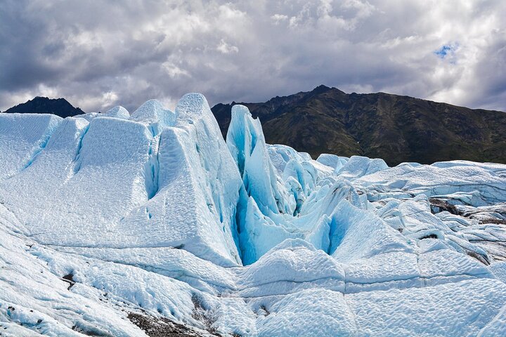 Anchorage Matanuska Glacier Tour 8 hr - Image 6