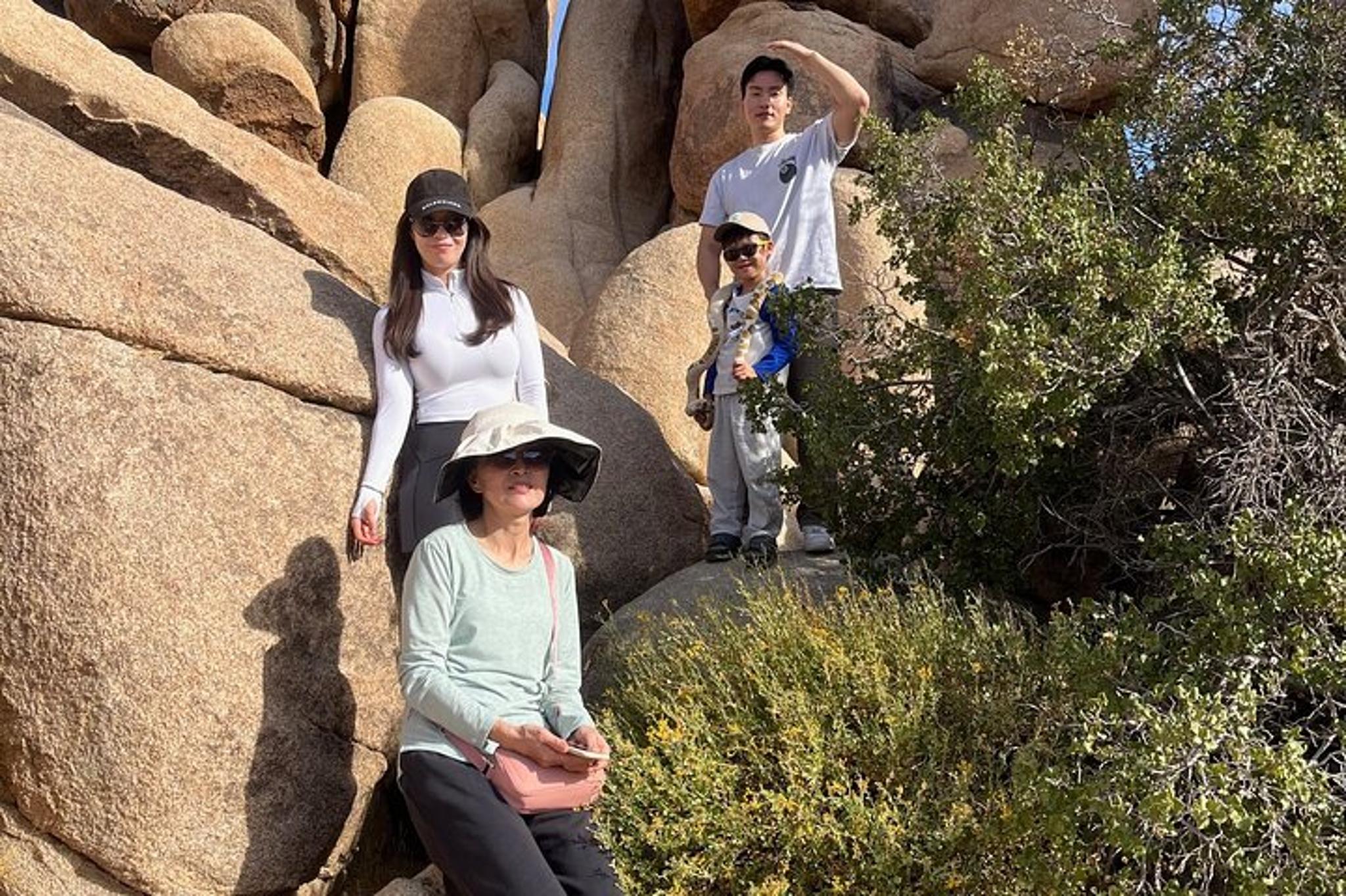 Joshua Tree National Park Sightseeing Tour - Image 6