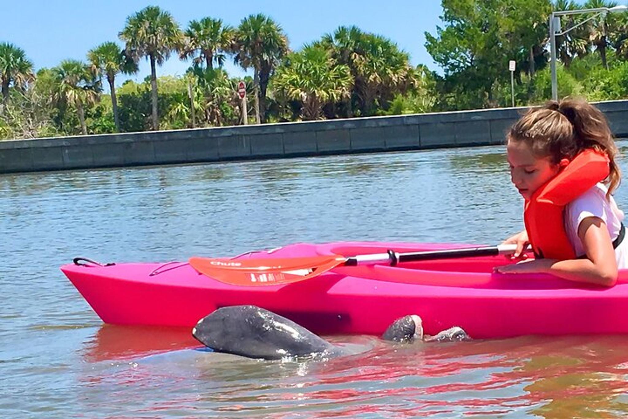 Orlando Dolphin & Manatee Kayaking Tour - Image 5