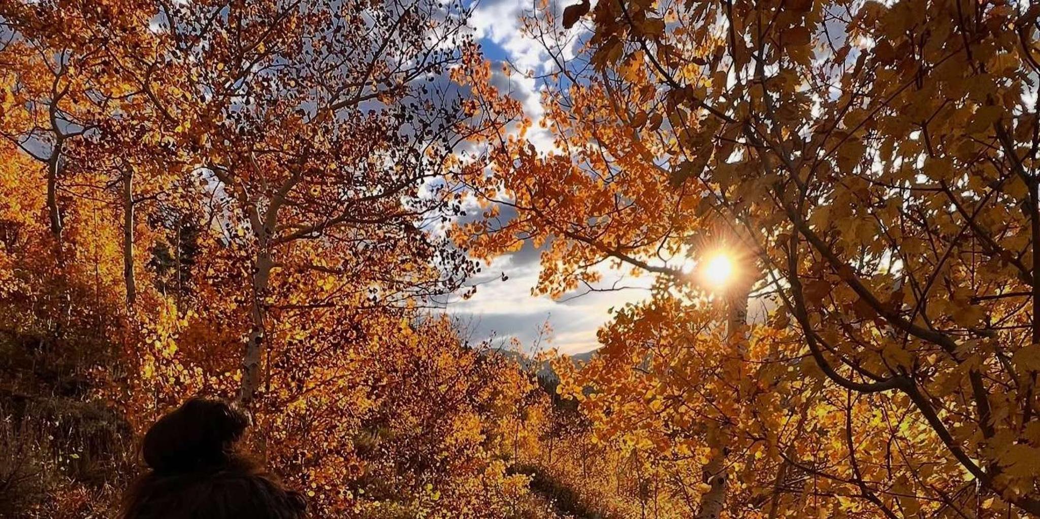 Rocky Mountain National Park Sunrise Guided Hike - Image 1