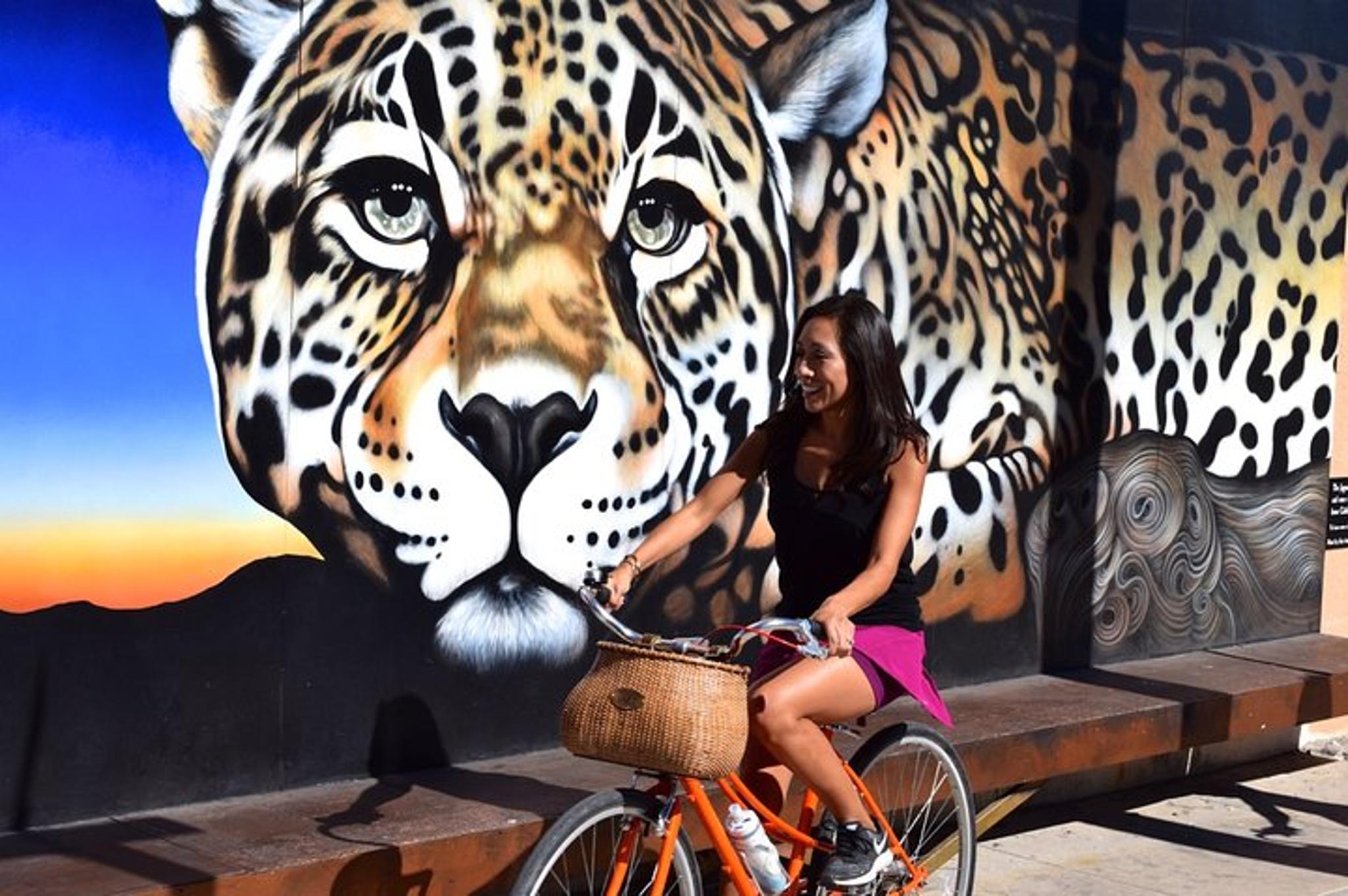 Tucson Mural Bike Tour 2 hr - Image 3