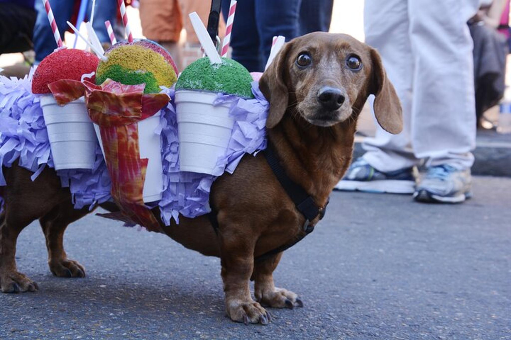 New Orleans Private Transfer - Image 4