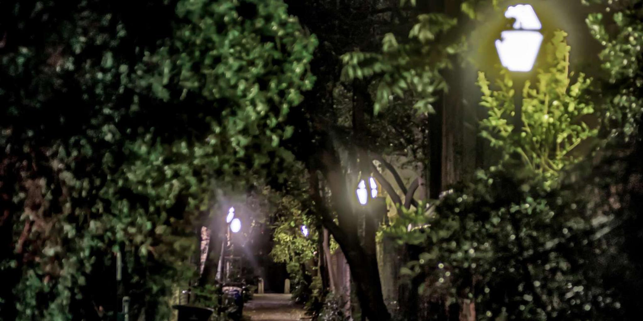 Charleston Dark Side Walking Tour 1.5 hr - Image 3