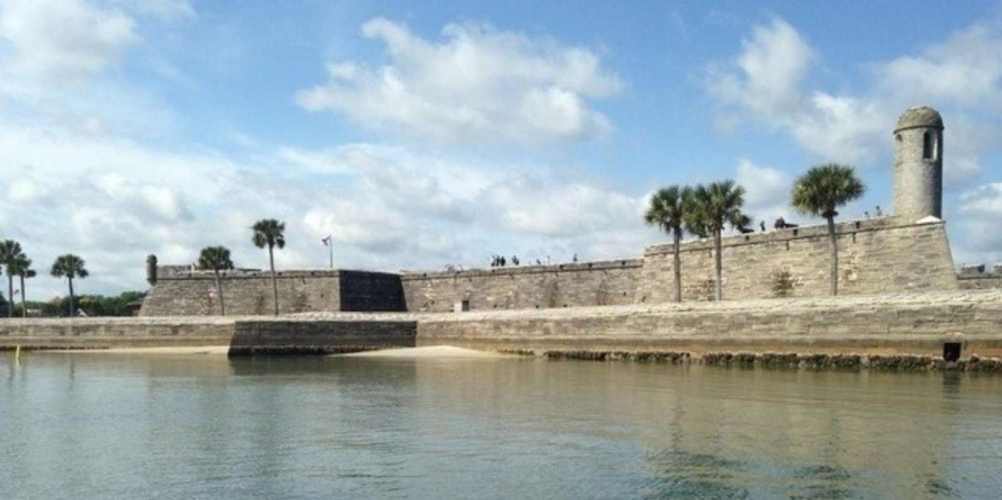 St. Augustine Dolphin and Wildlife Boat Tour - Image 4