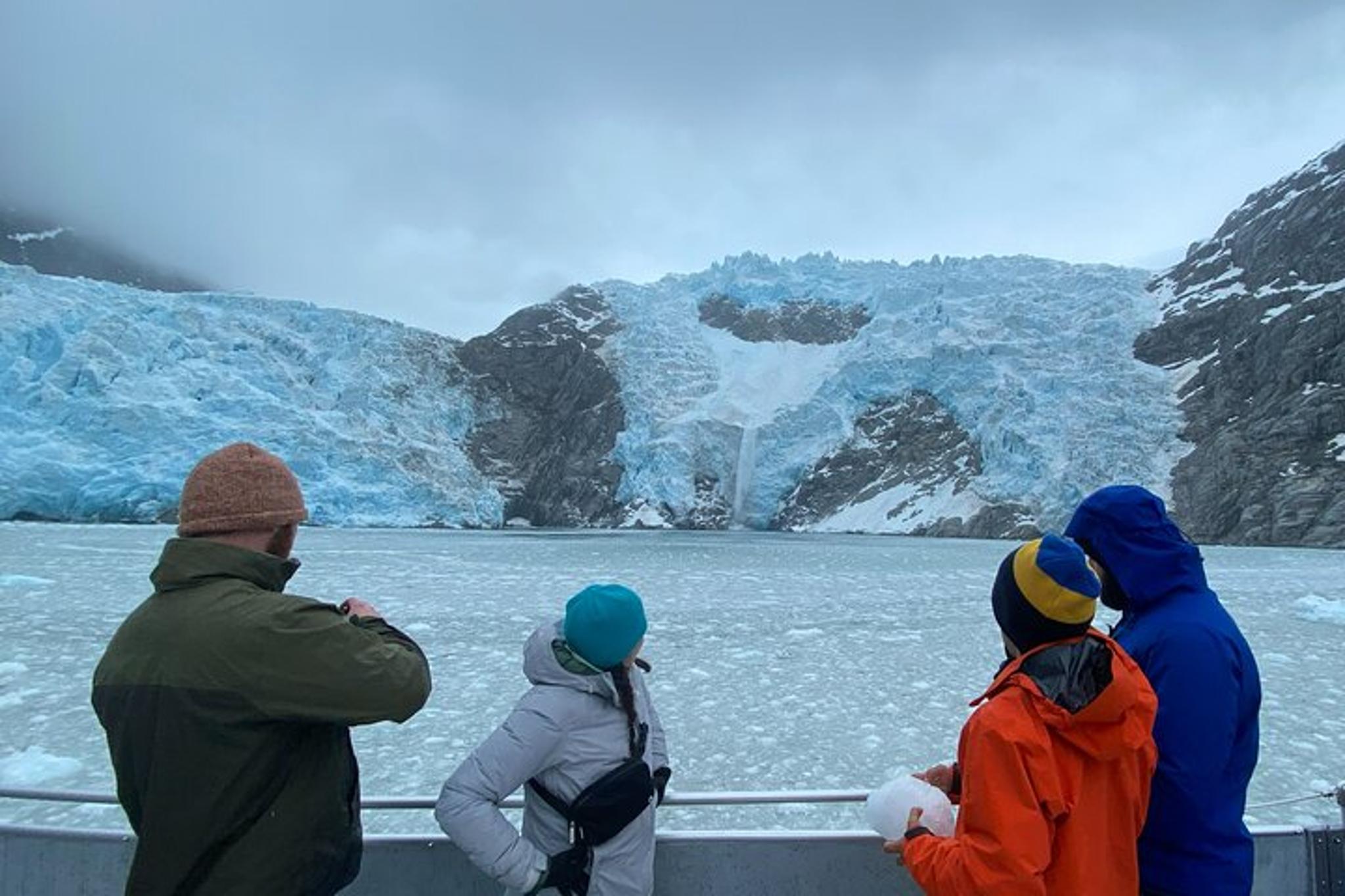 Seward Glacier and Wildlife Tour