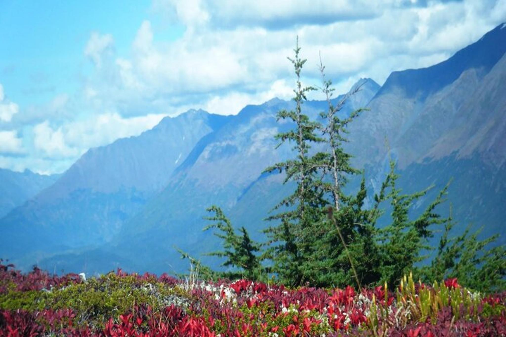 Anchorage Seward Highway Self-Guided Drive - Image 5