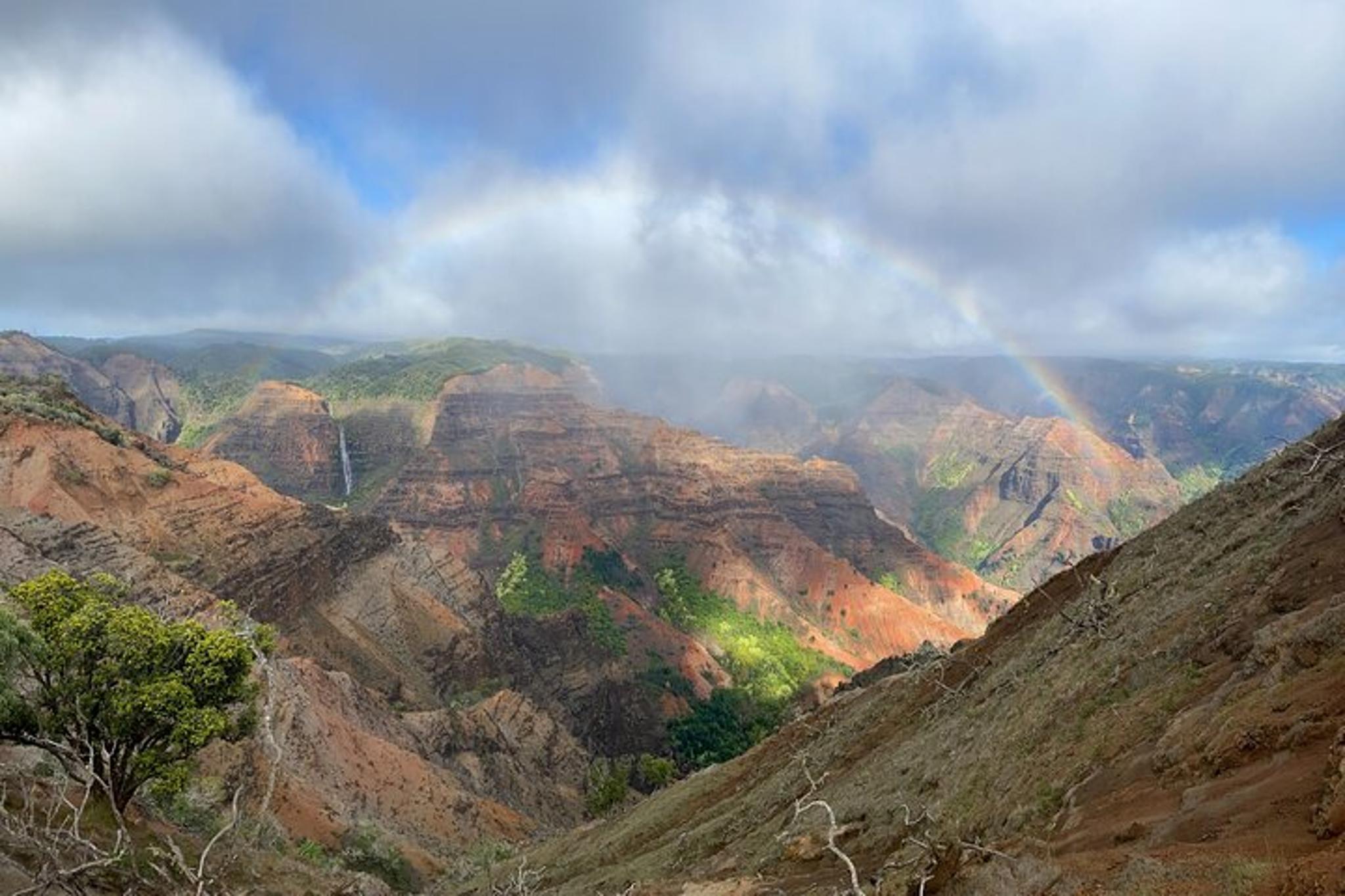 Kauai Waimea Canyon Private Guided Tour - Image 2